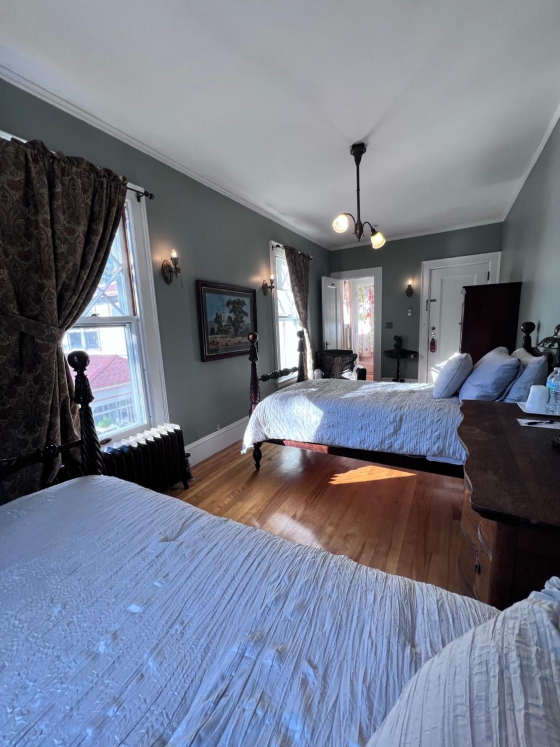 Deluxe Double or Twin Room - Photo 2