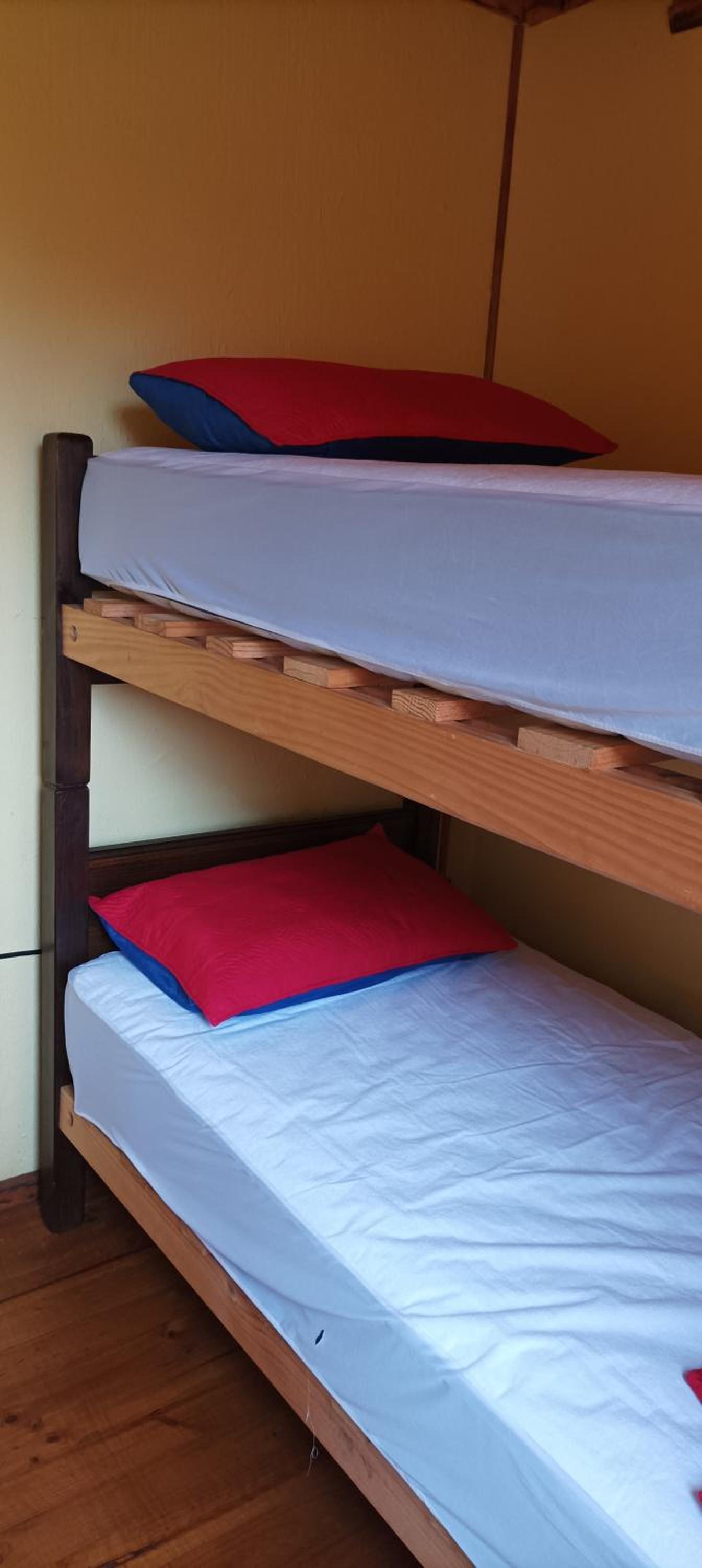 Twin Room photo 2