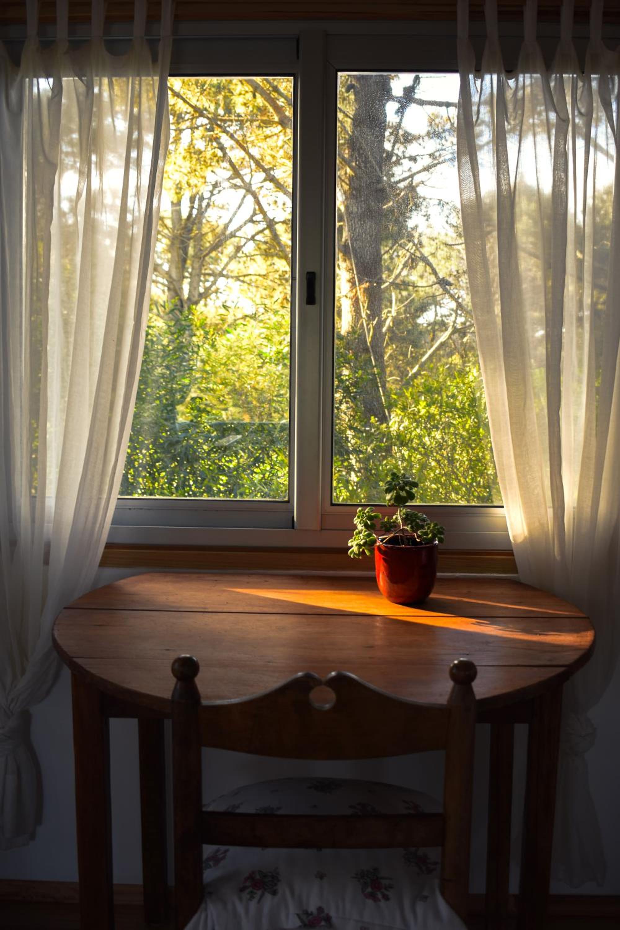 Cottage with Garden View photo 3