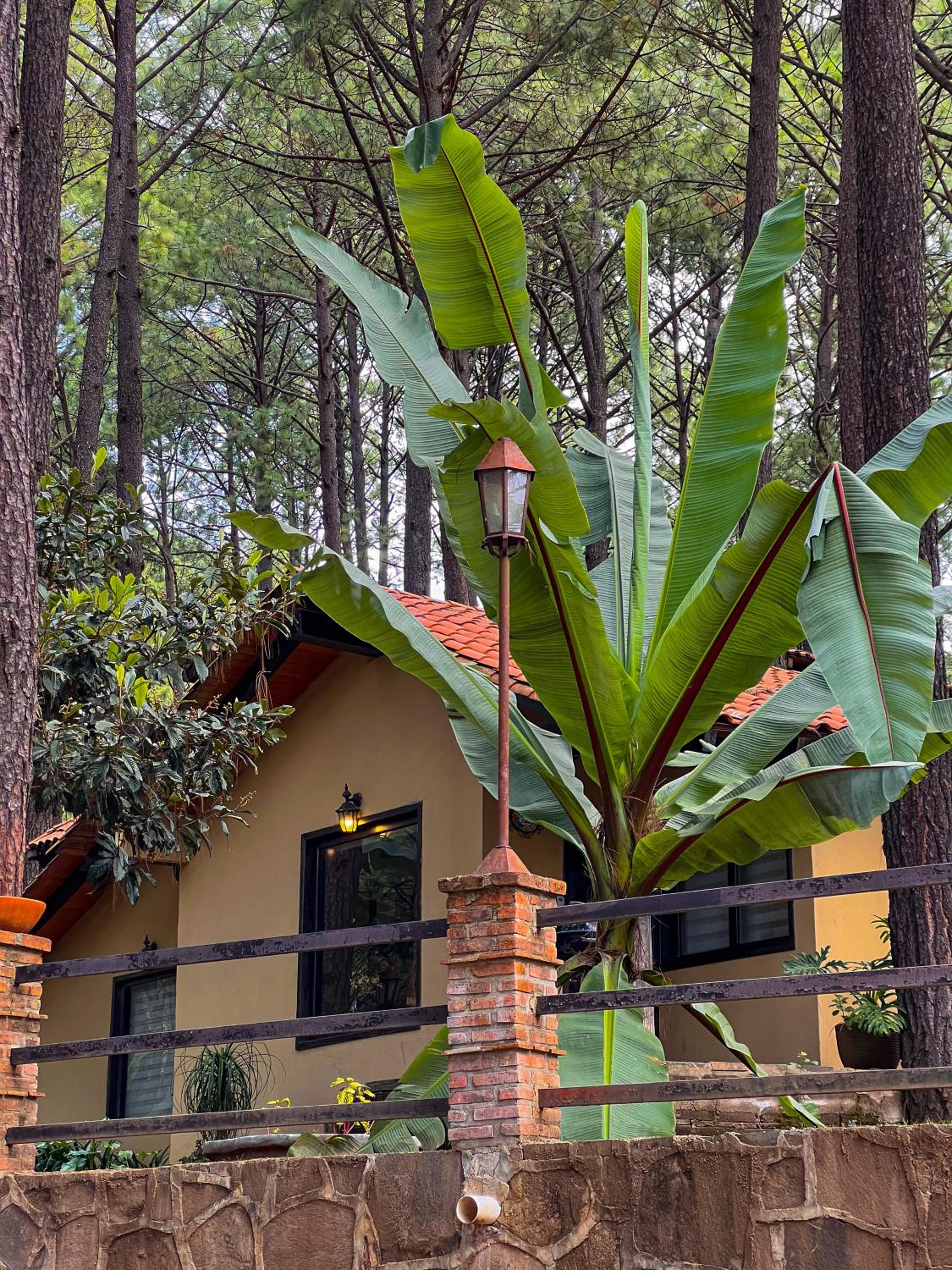 One-Bedroom Chalet - Photo 13