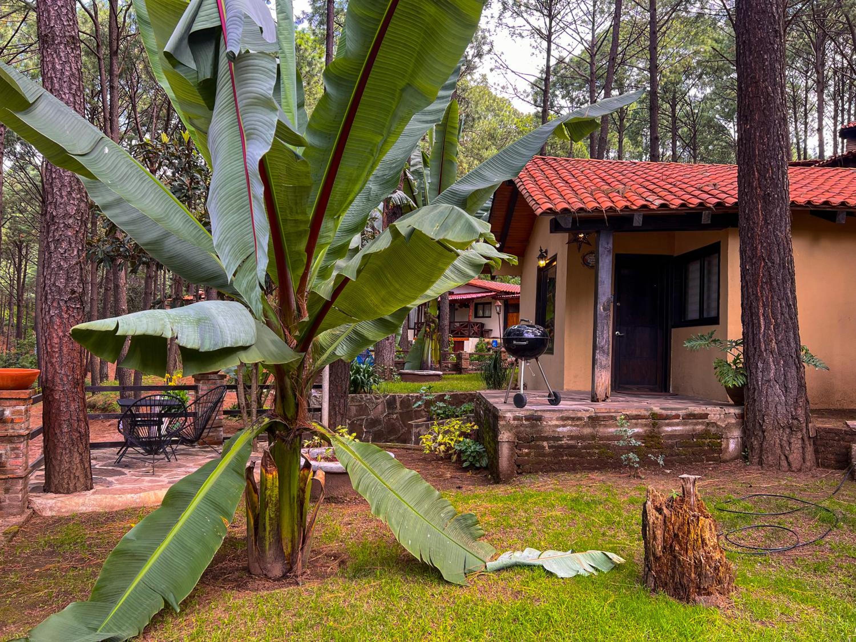 One-Bedroom Chalet - Photo 3
