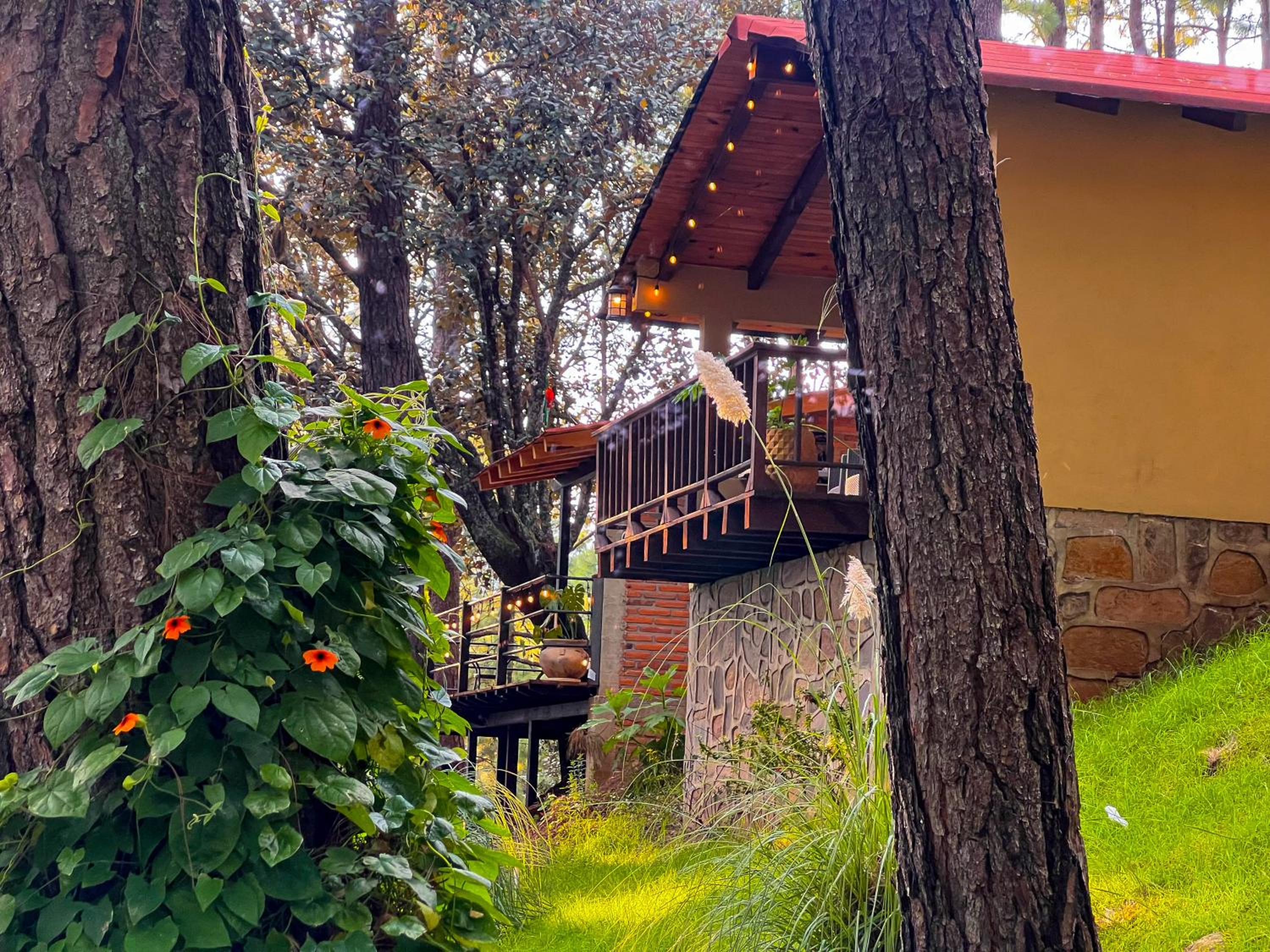 Chalet - Photo 9