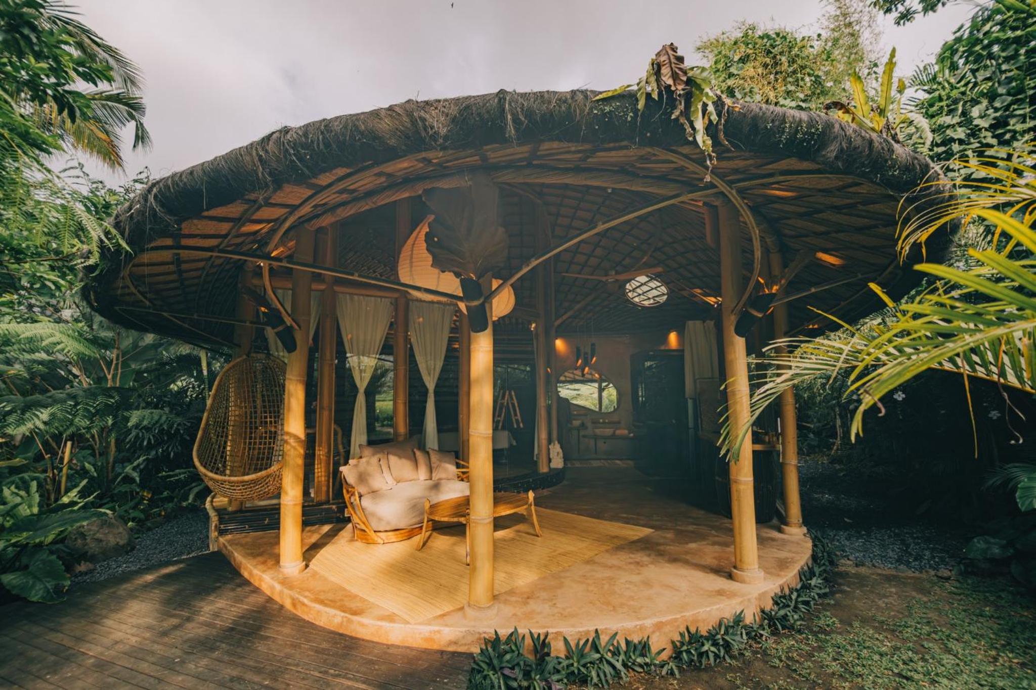 Bamboo Home photo 3