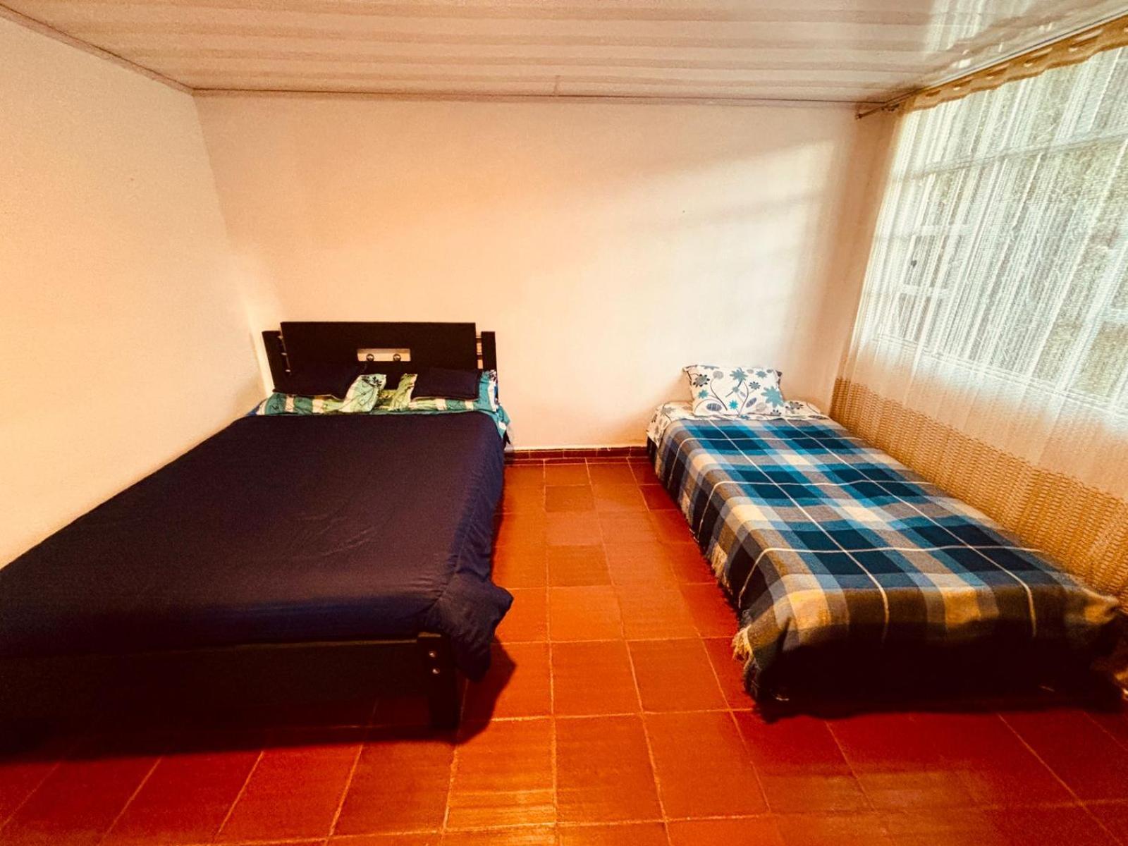 Standard Twin Room photo 2
