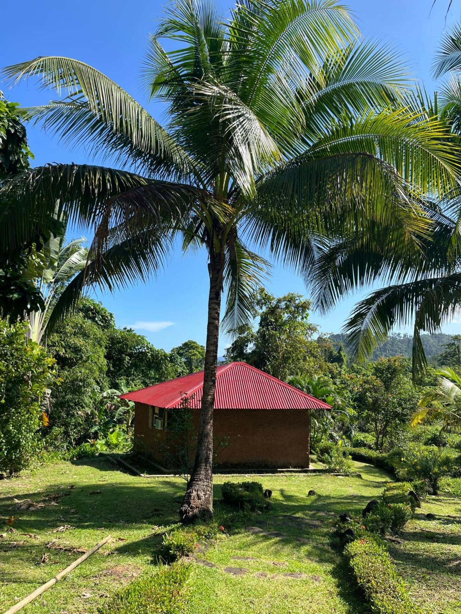Bungalow with Garden View photo 3