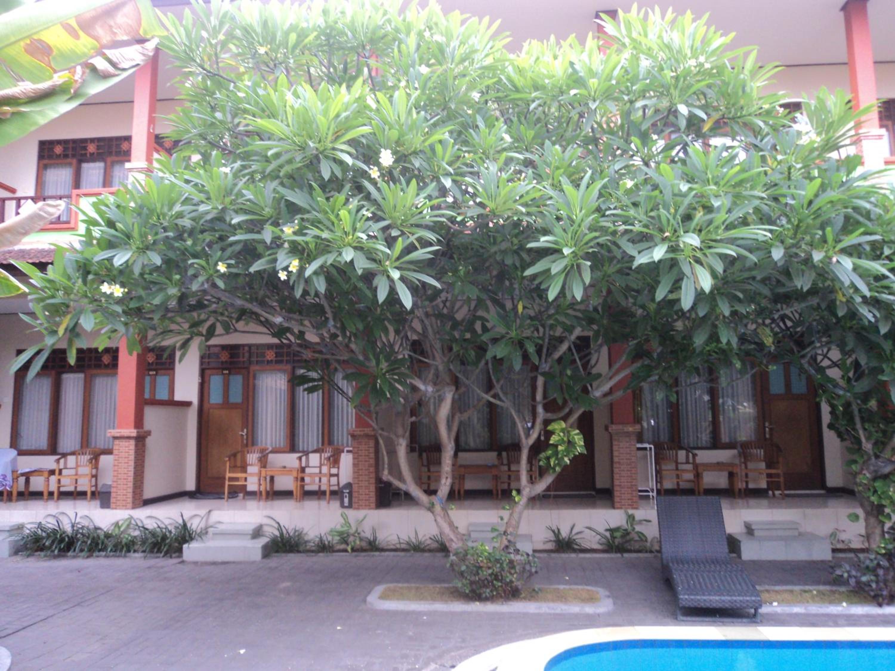 Superior Double Room - Photo 2