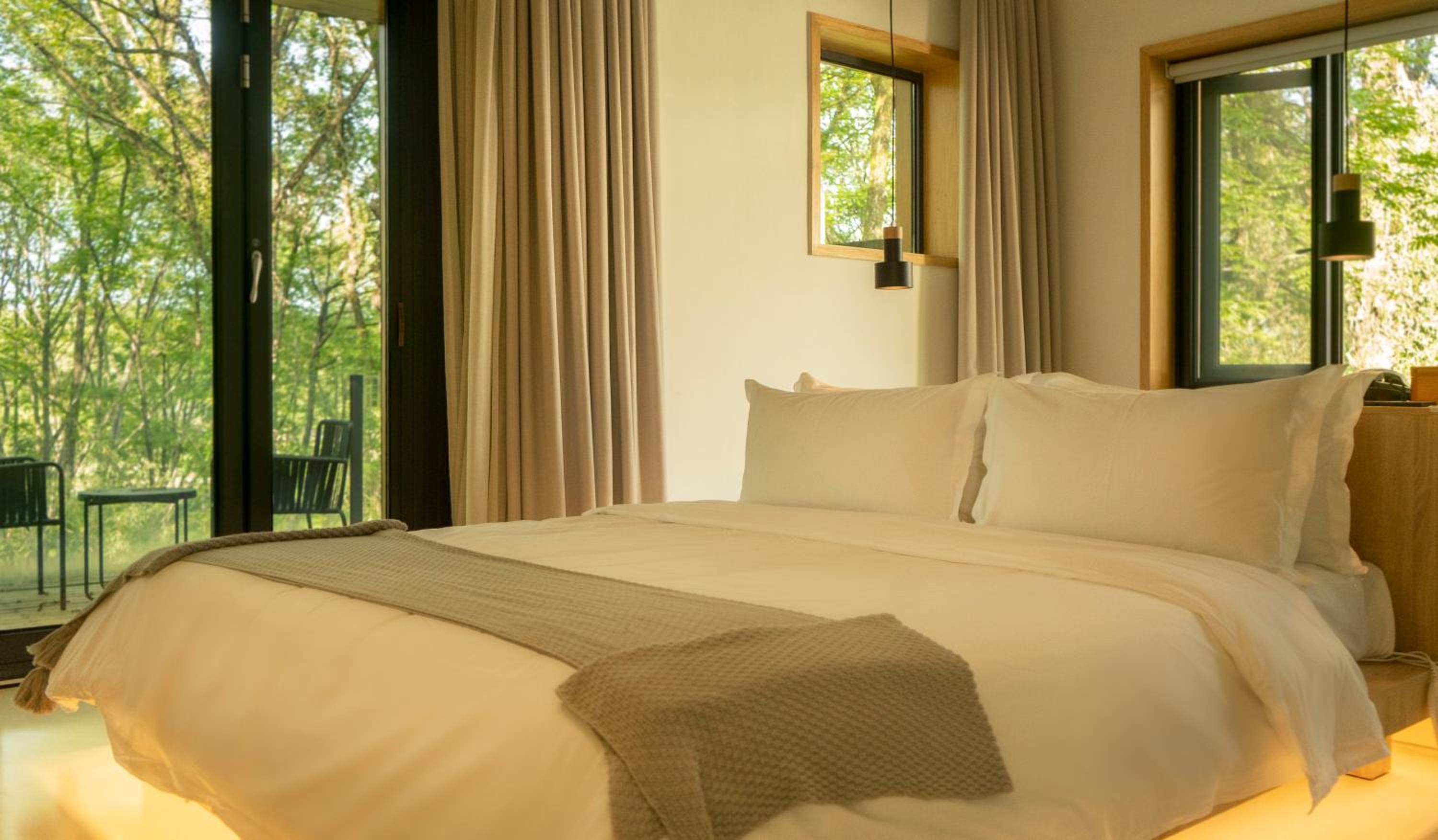 Deluxe King Room photo 3