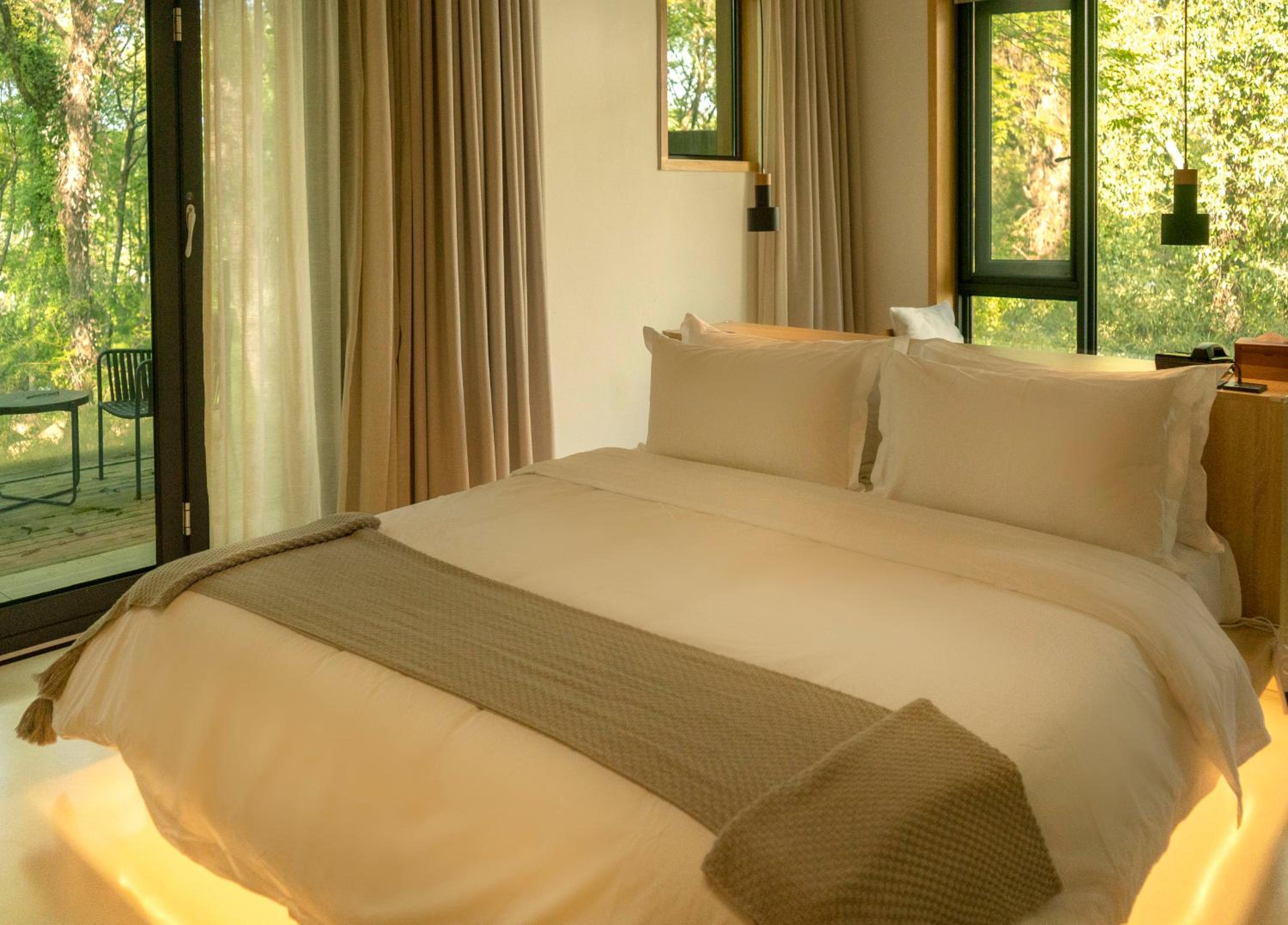 Deluxe King Room photo 2
