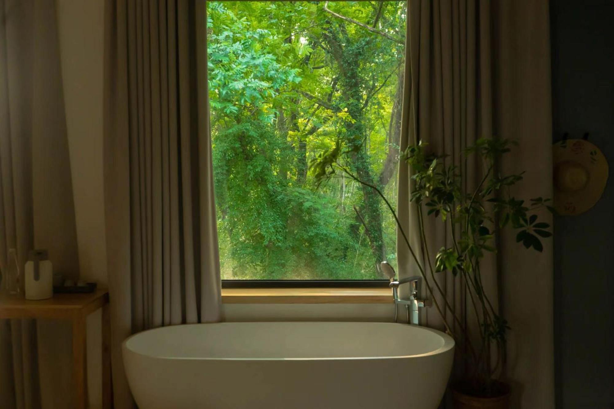 Presidential Suite photo 1