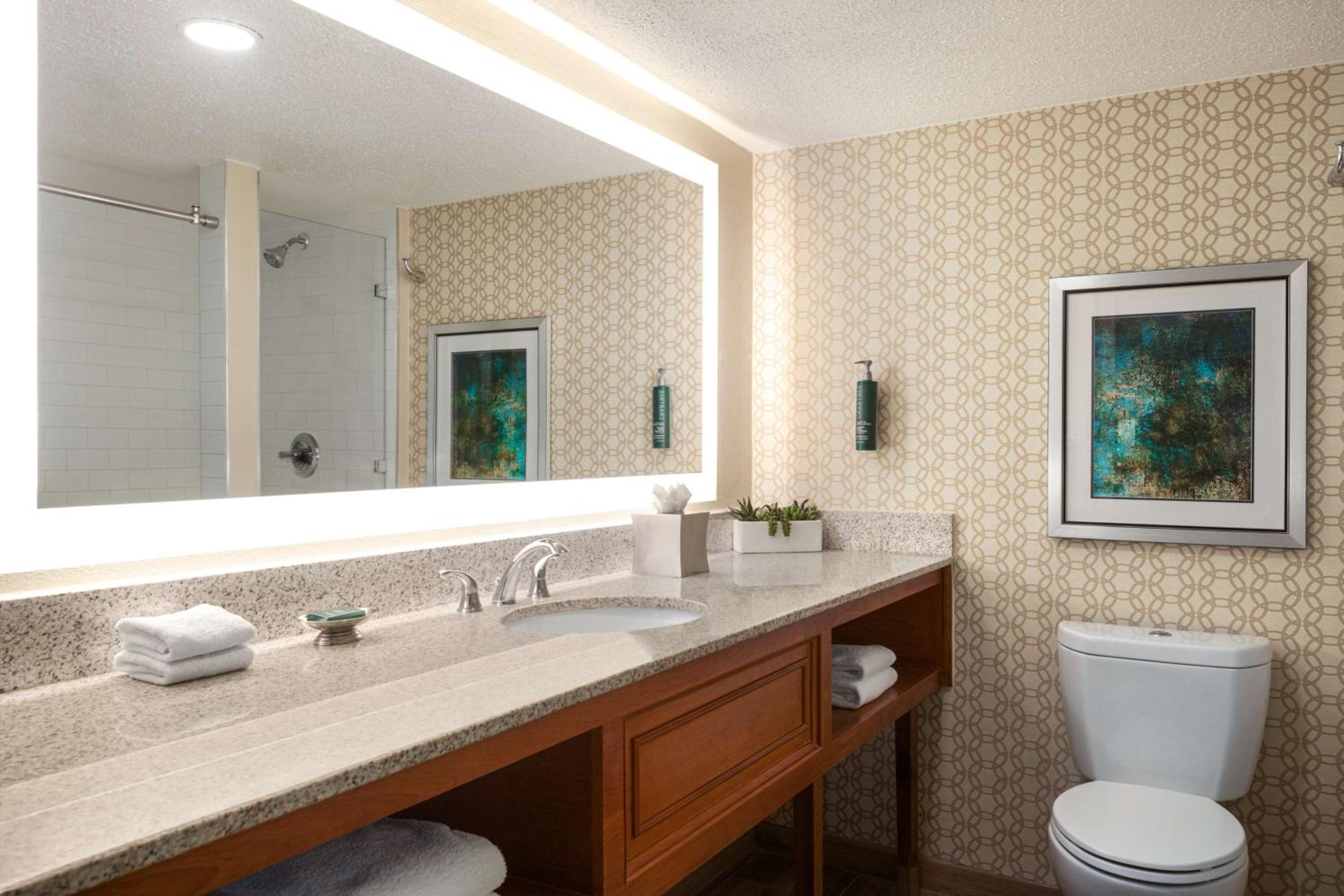 King Studio Suite - Photo 4