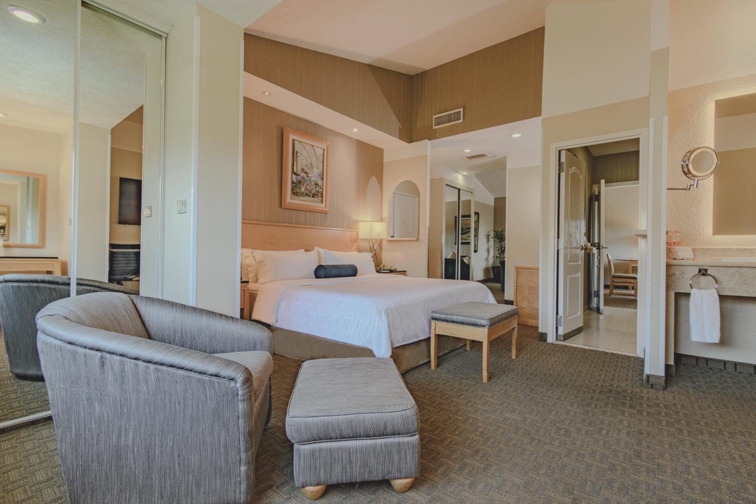 King Suite with Single Sofa Bed