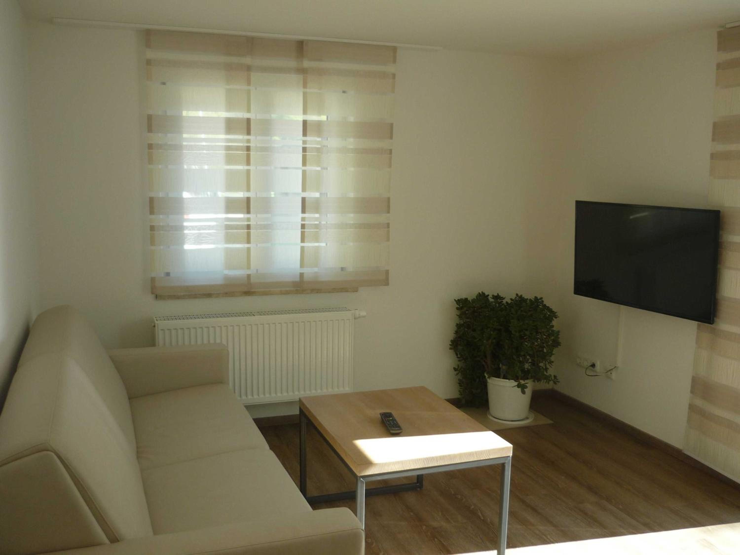 One-Bedroom Apartment with Terrace photo 1