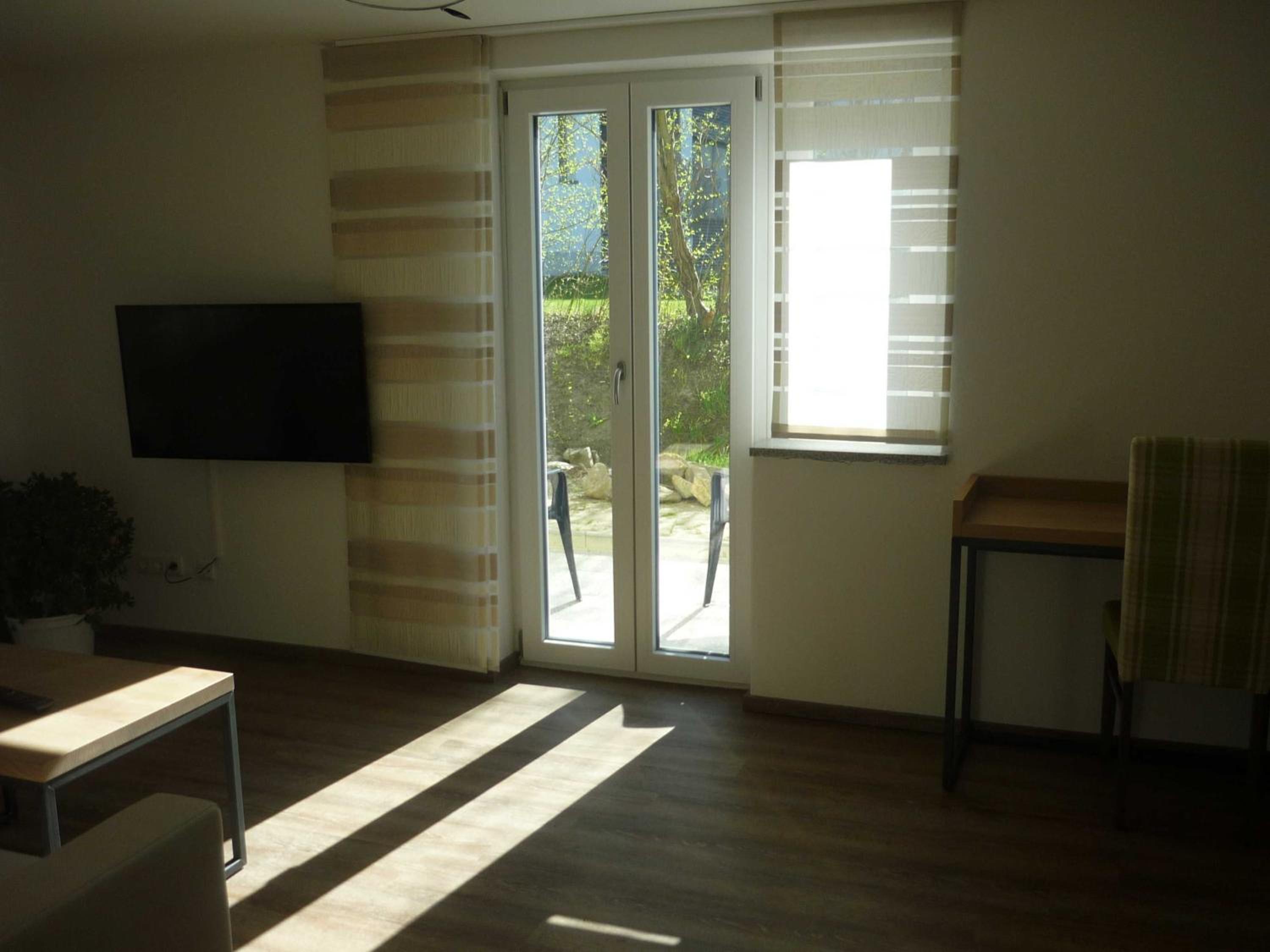 One-Bedroom Apartment with Terrace photo 3
