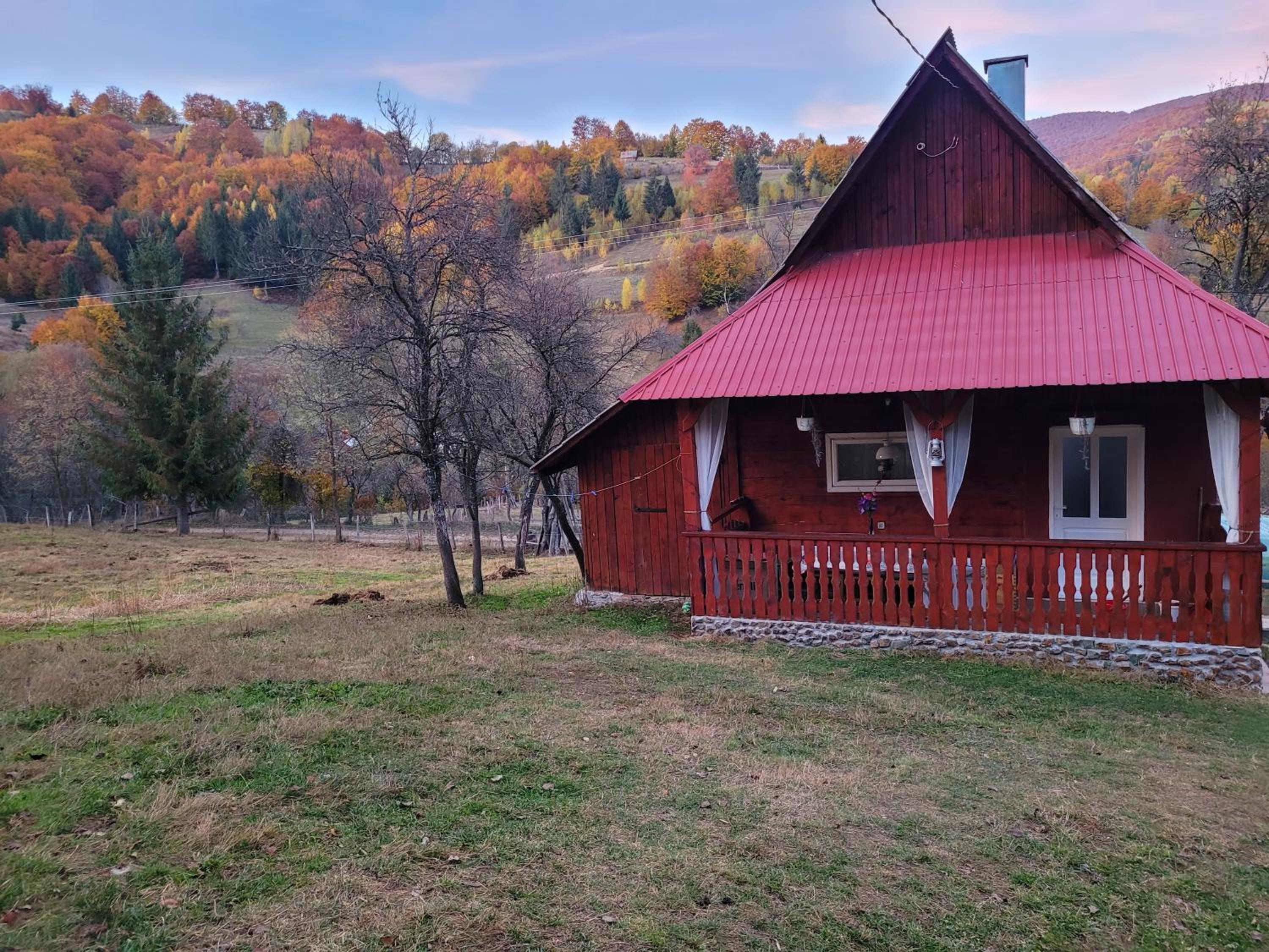 One-Bedroom House photo 2