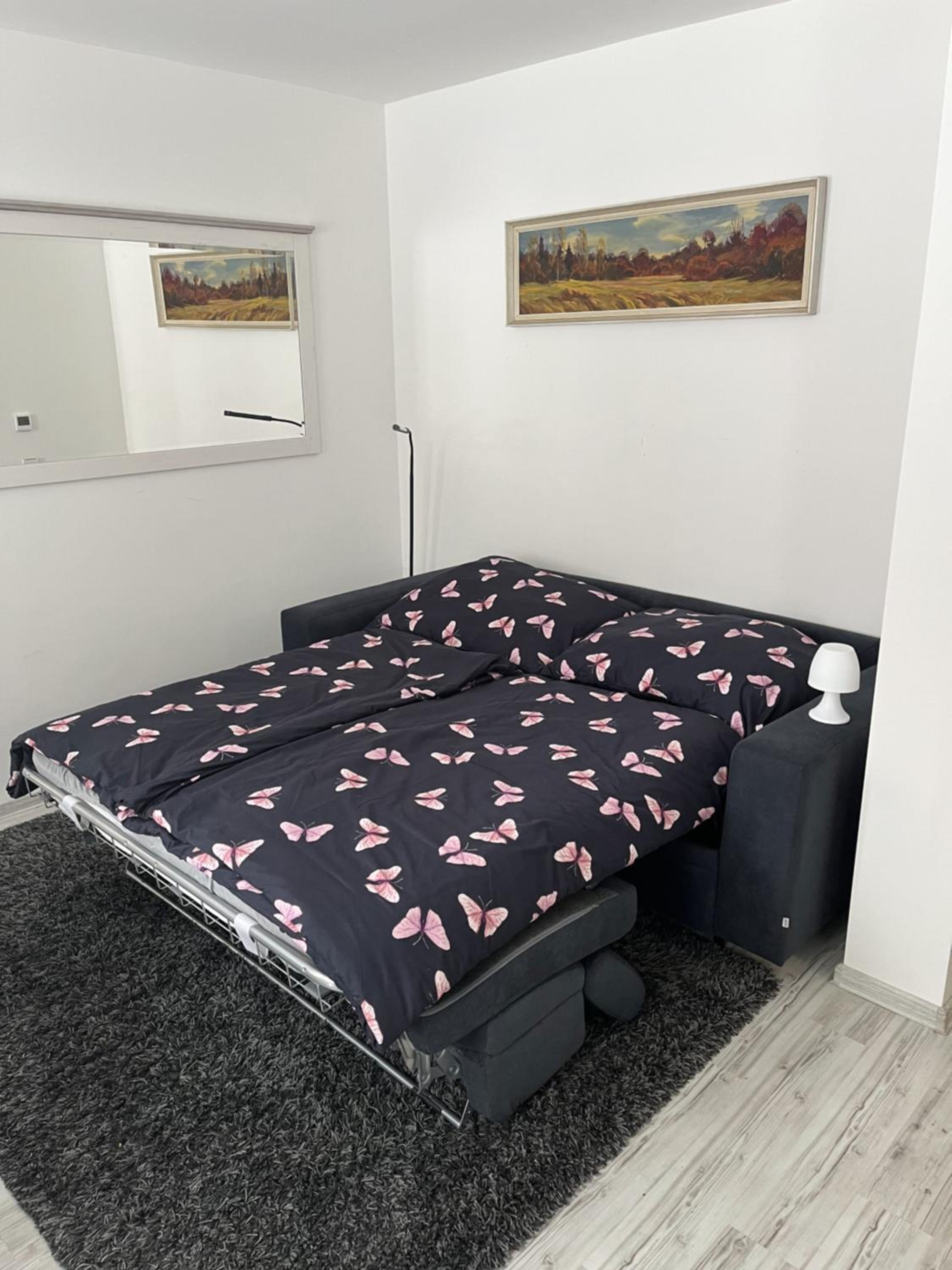 One-Bedroom Apartment photo 2