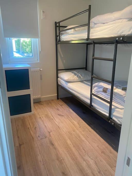 Three-Bedroom Chalet photo 2
