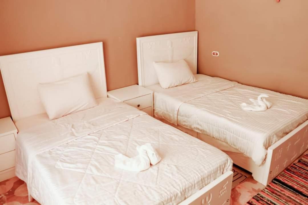 Single Room with Garden View photo 1