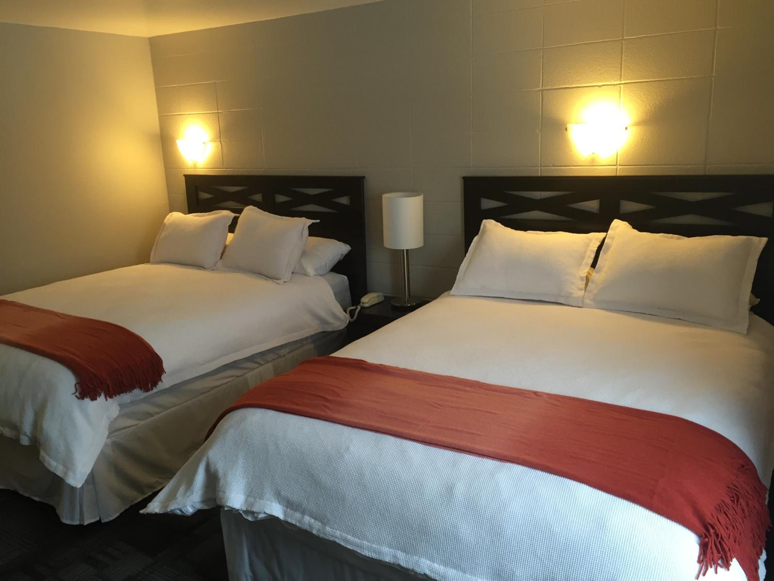 Superior Queen Room photo 2