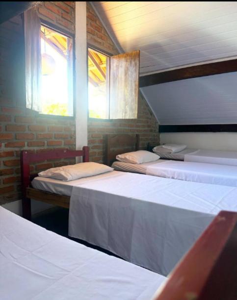 Bunk Bed in Mixed Dormitory Room