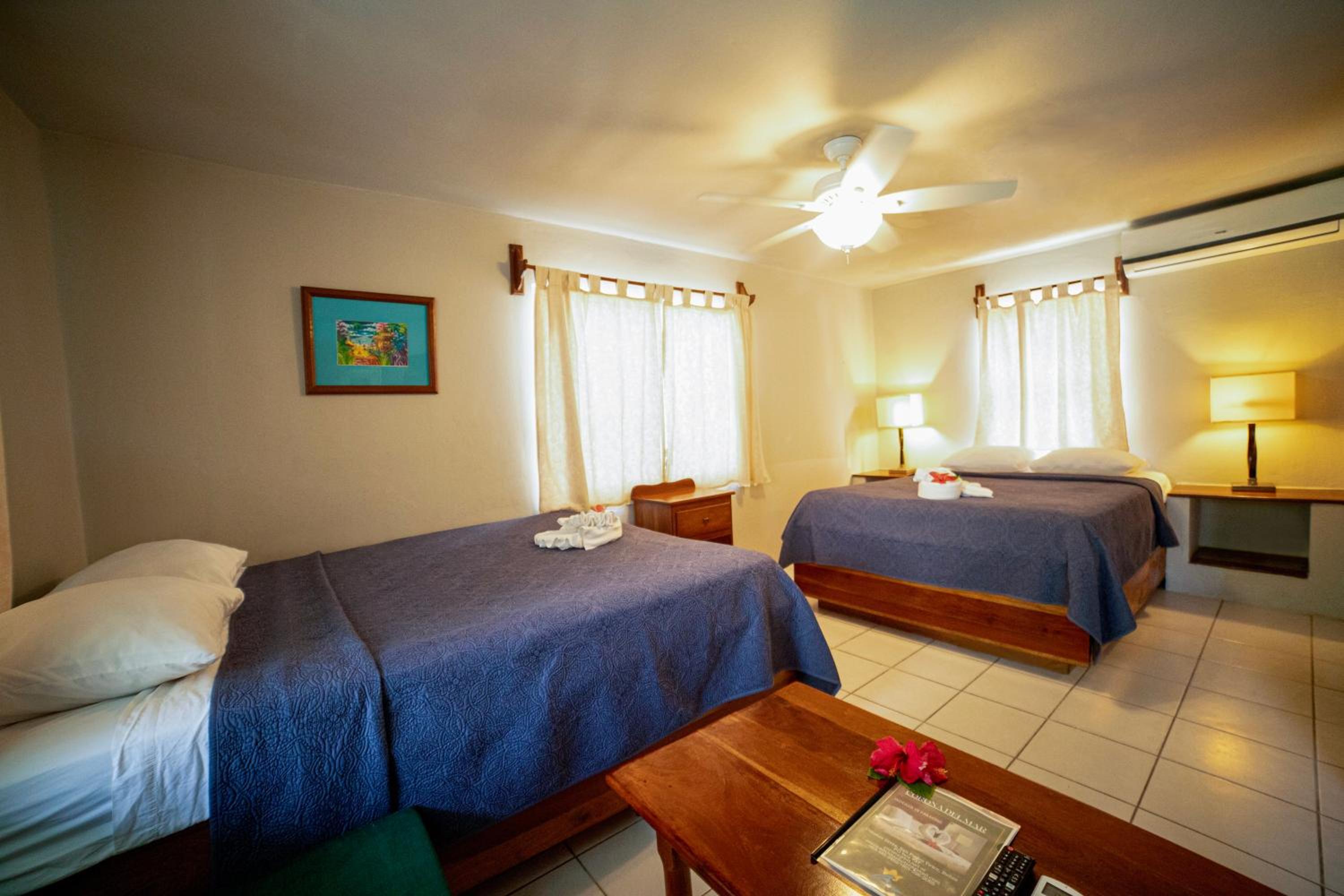 Queen Room with Pool View photo 2