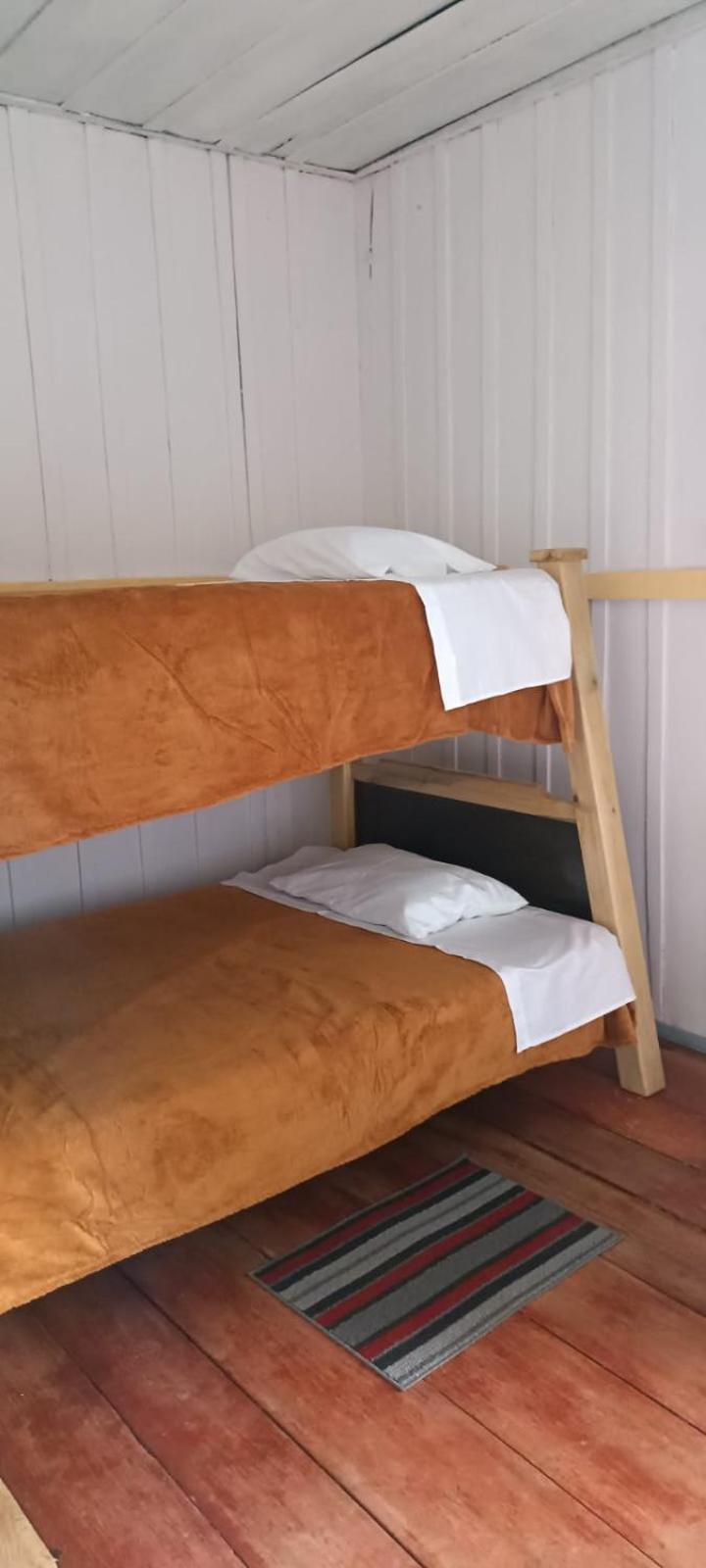 Single Bed in Mixed Dormitory Room photo 1