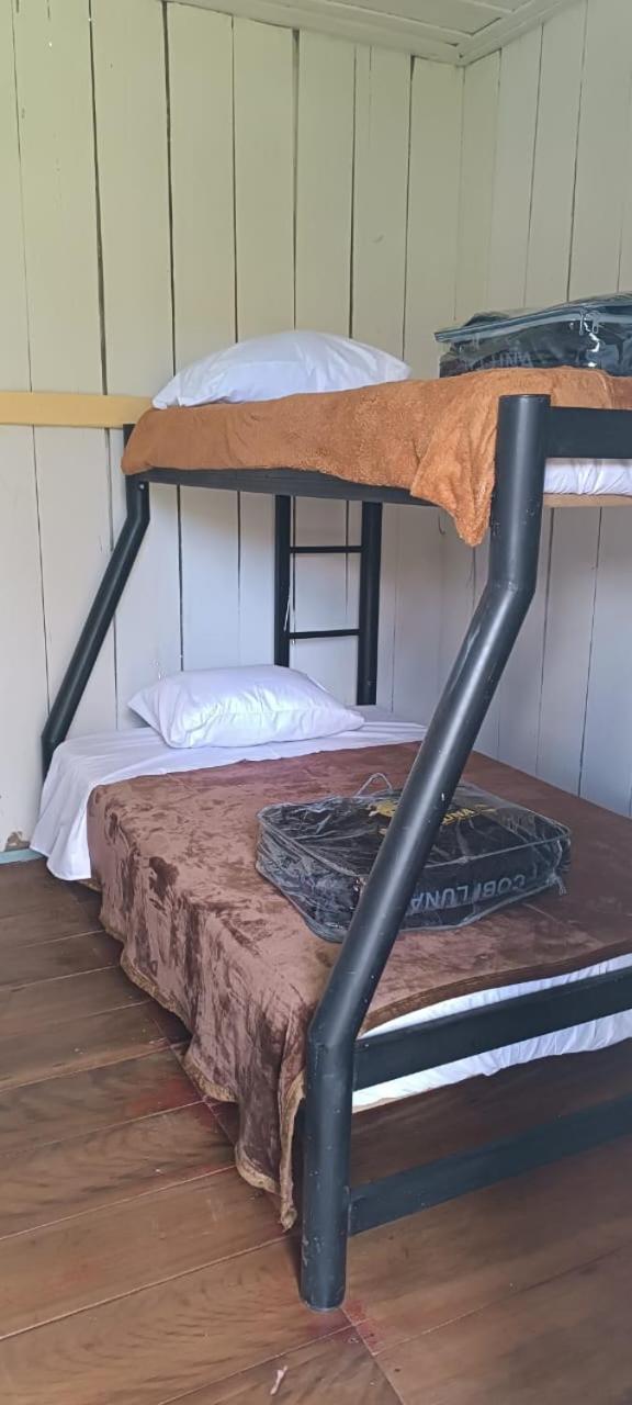Bunk Bed in Mixed Dormitory Room photo 1