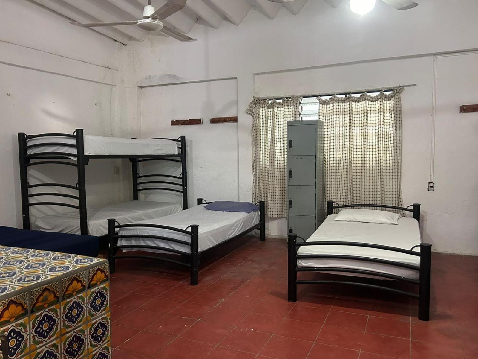 Bed in 8-Bed Mixed Dormitory Room