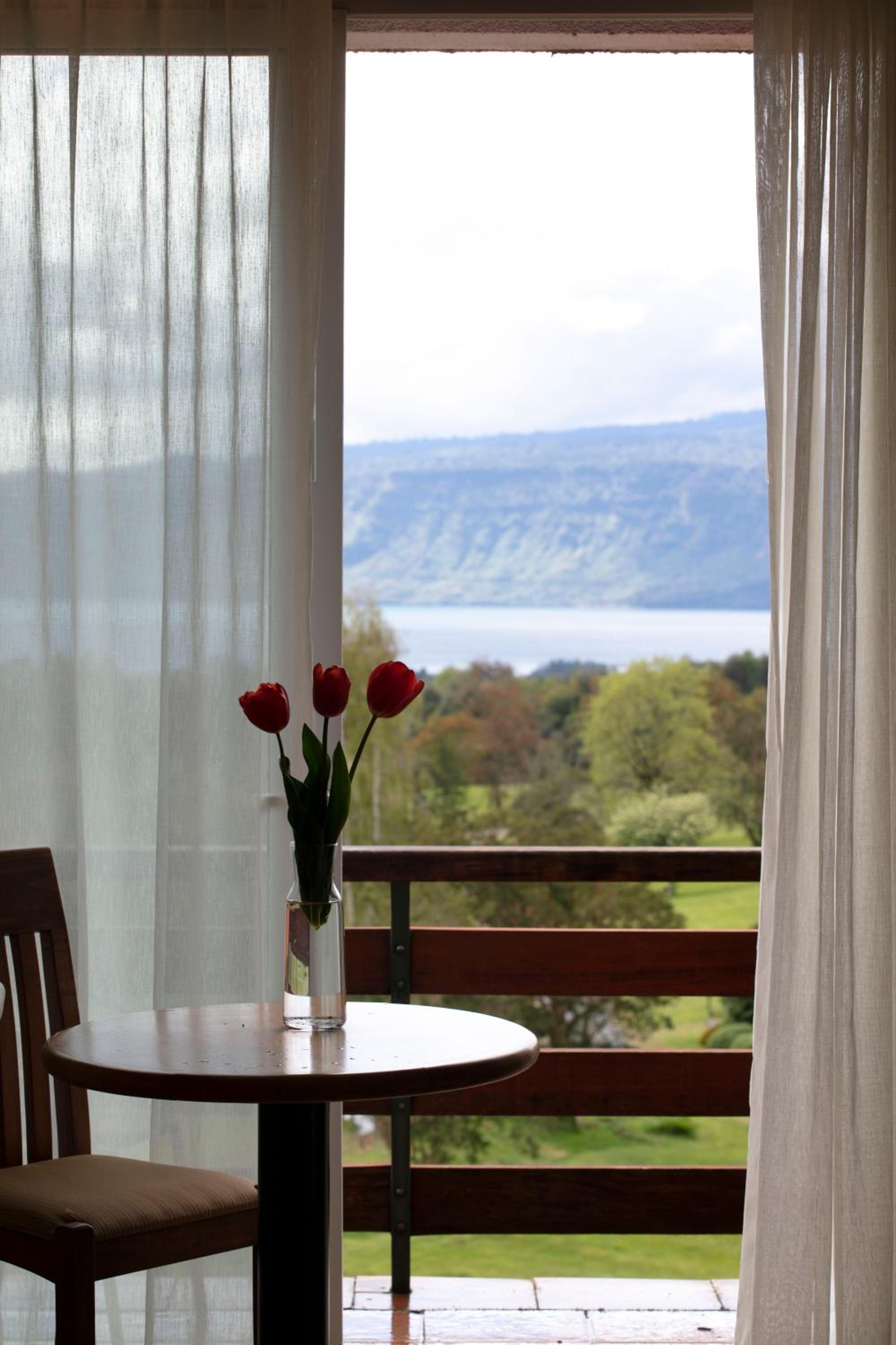 Superior Double Room - Photo 4