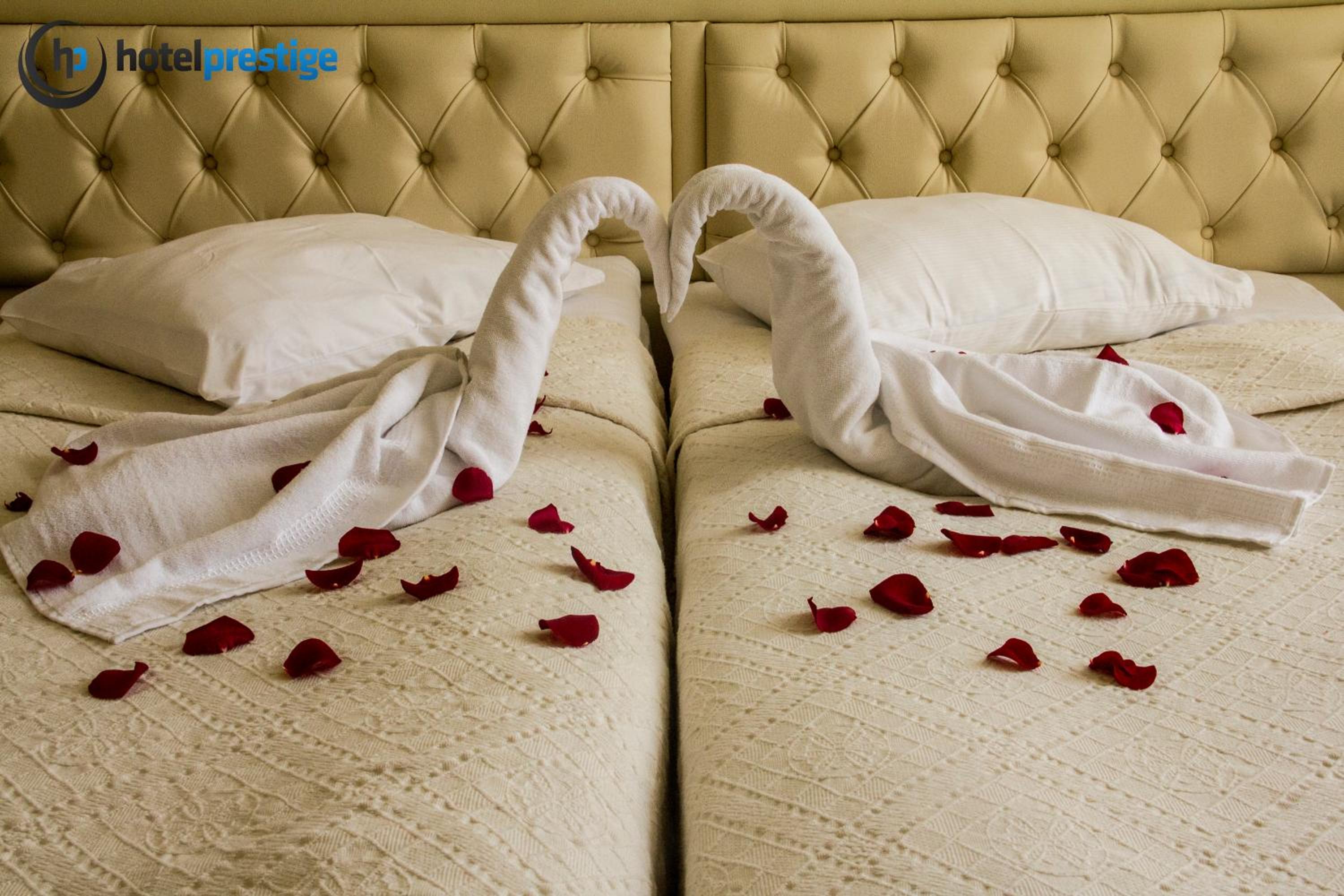 Twin Room - Photo 11