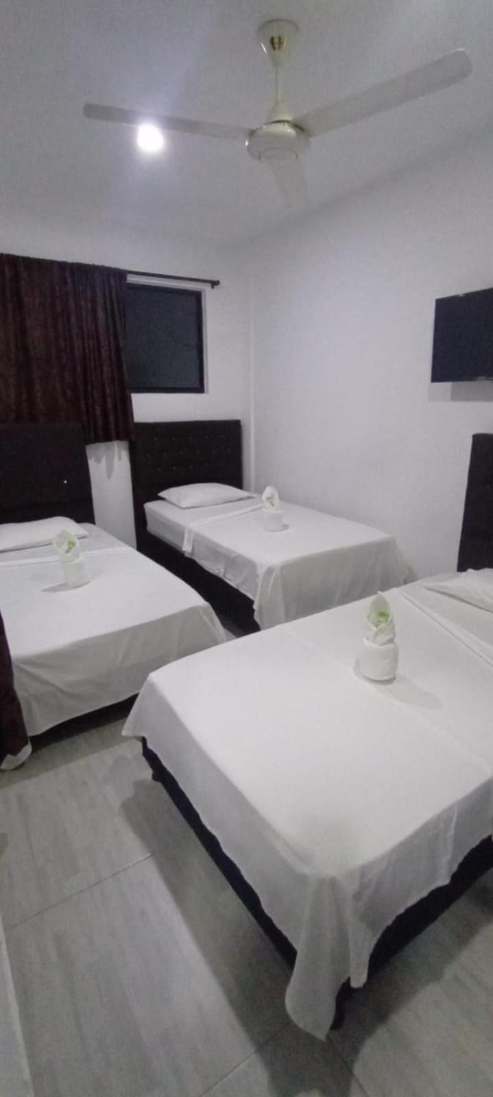 Triple Room photo 3