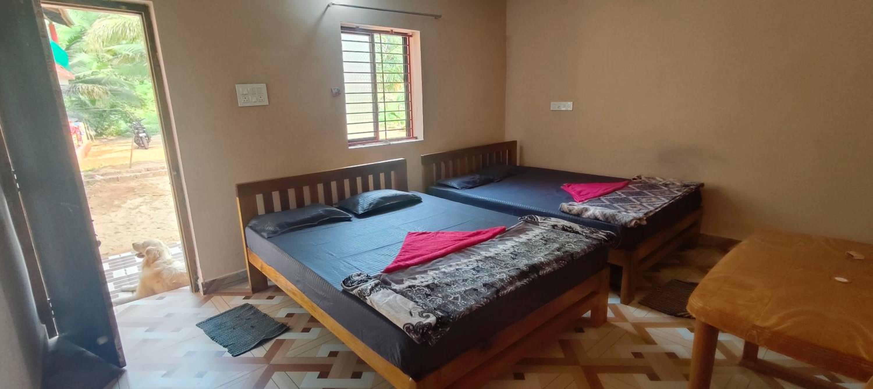 Classic Quadruple Room photo 1