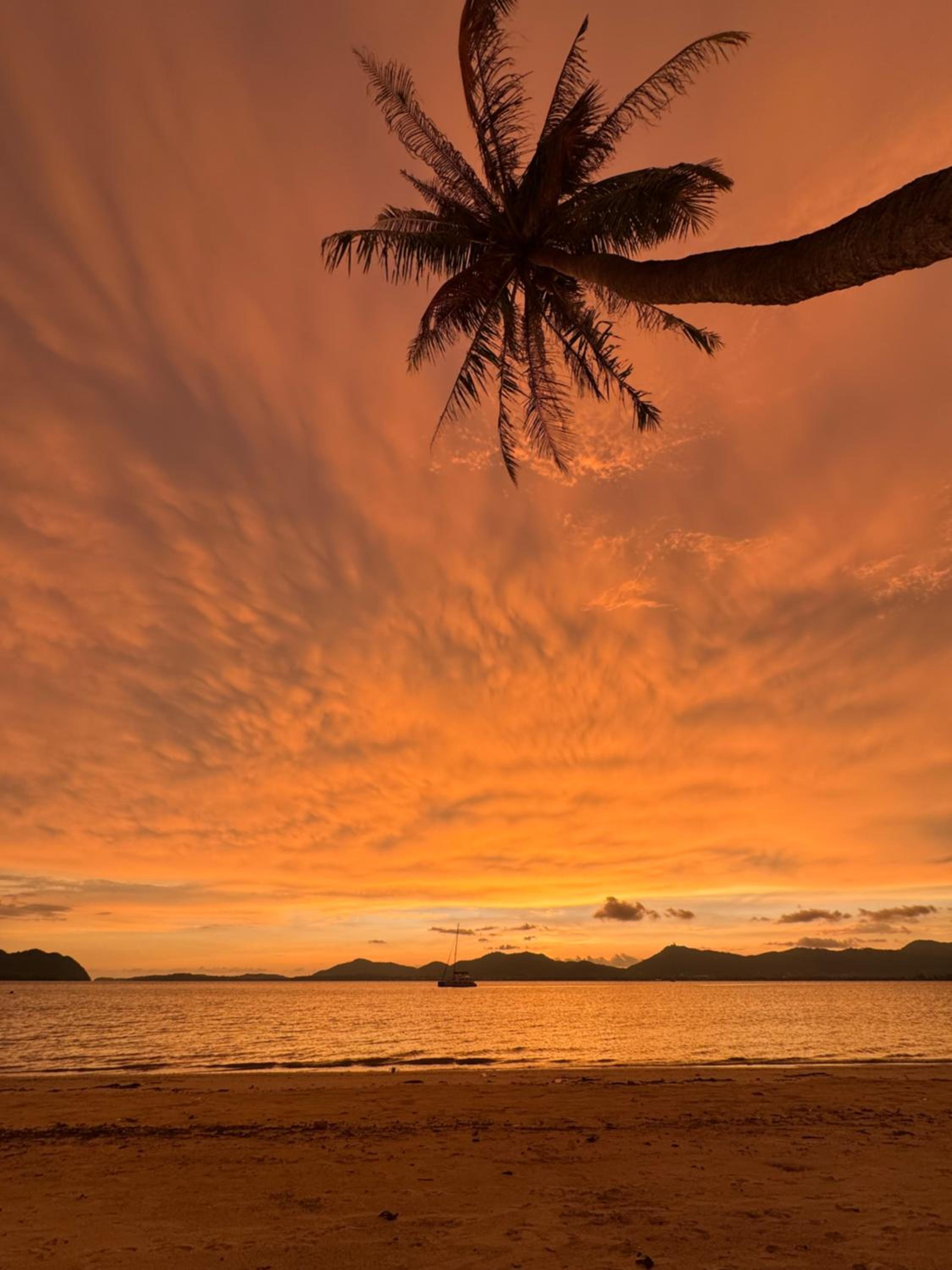 Family Suite with Balcony - Photo 23