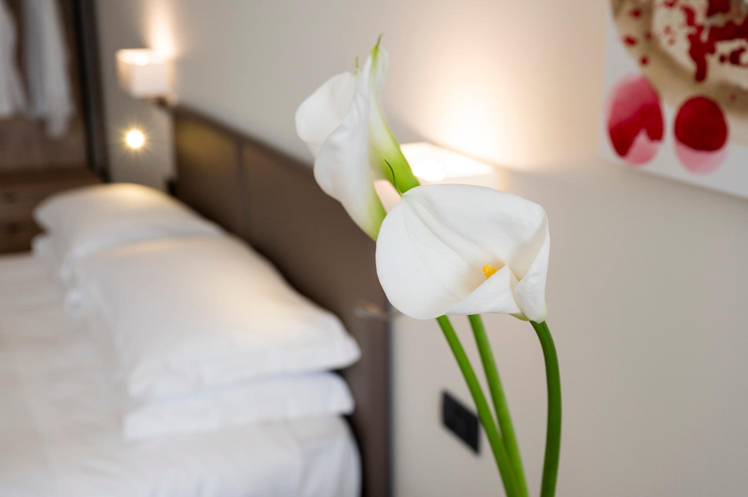 Suite photo 1