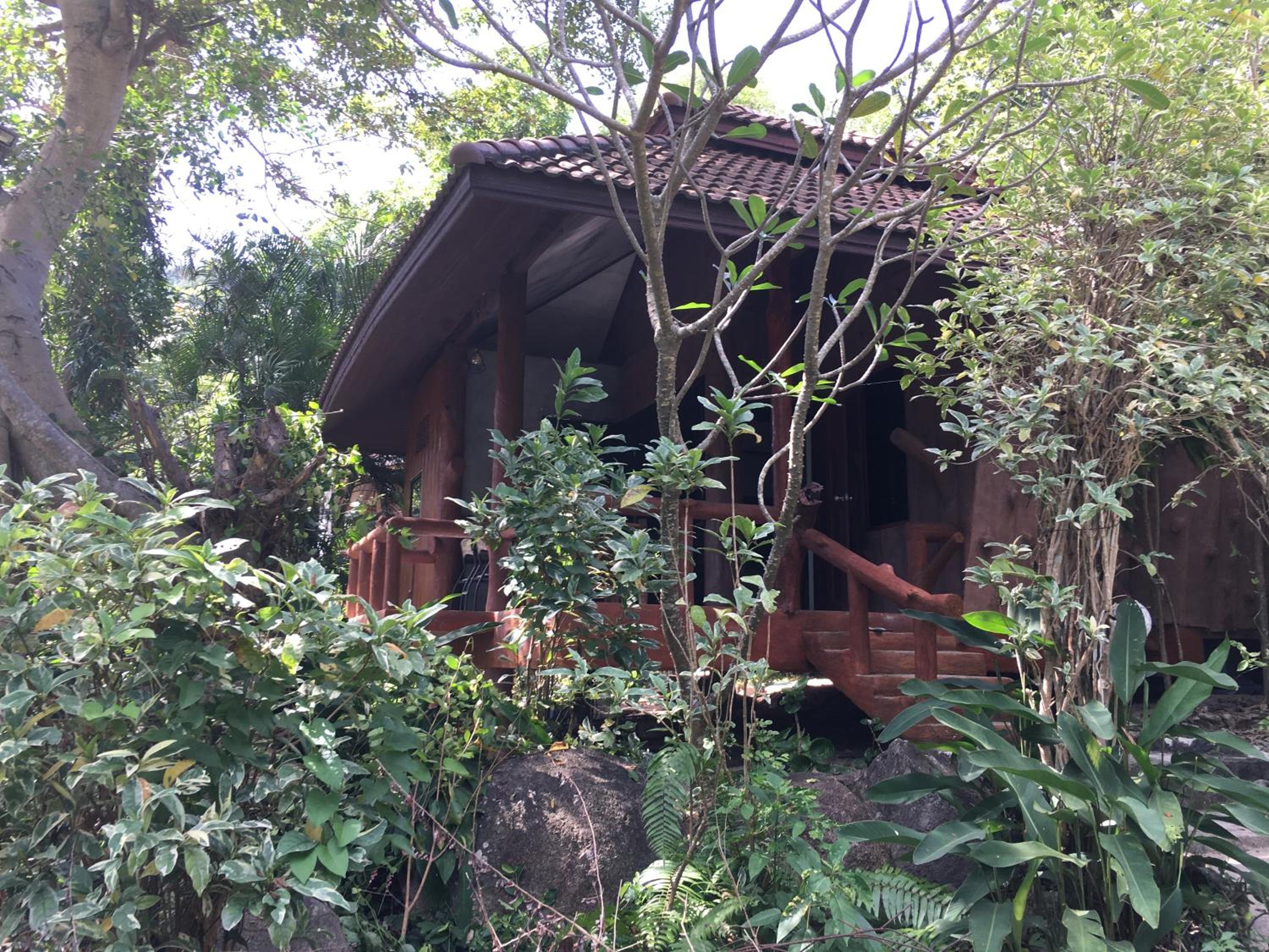 Standard Bungalow photo 2