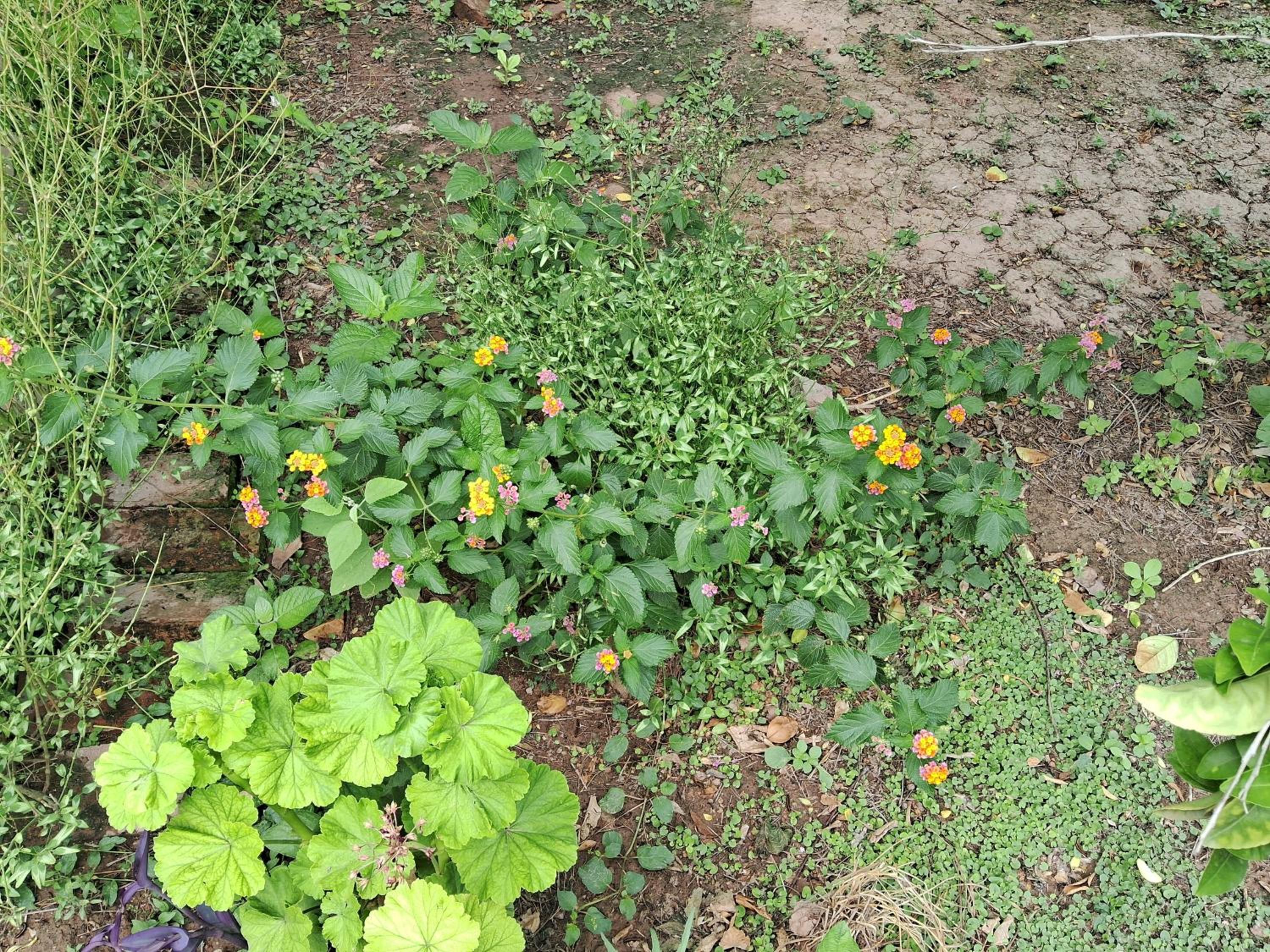 One-Bedroom Apartment with Garden View photo 2