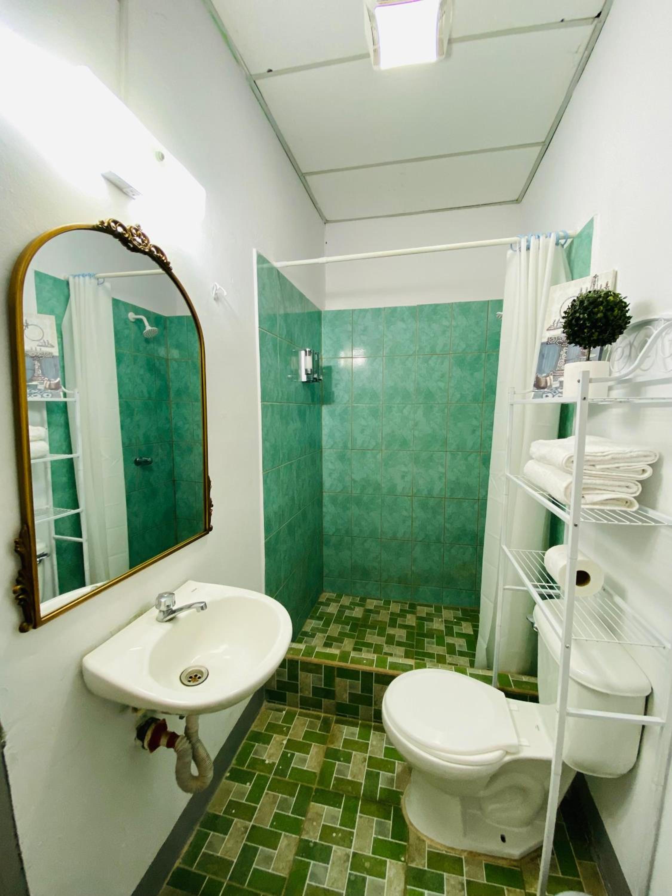 Twin Room photo 2