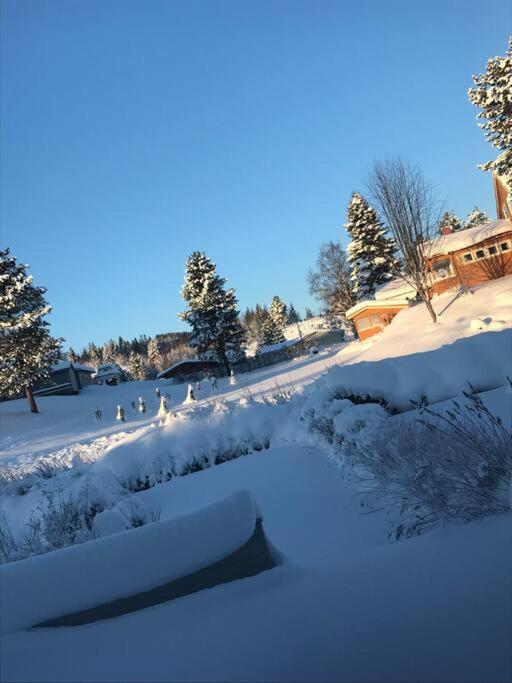 Three-Bedroom House photo 2