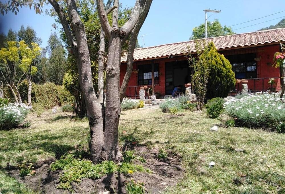 Three-Bedroom House photo 3