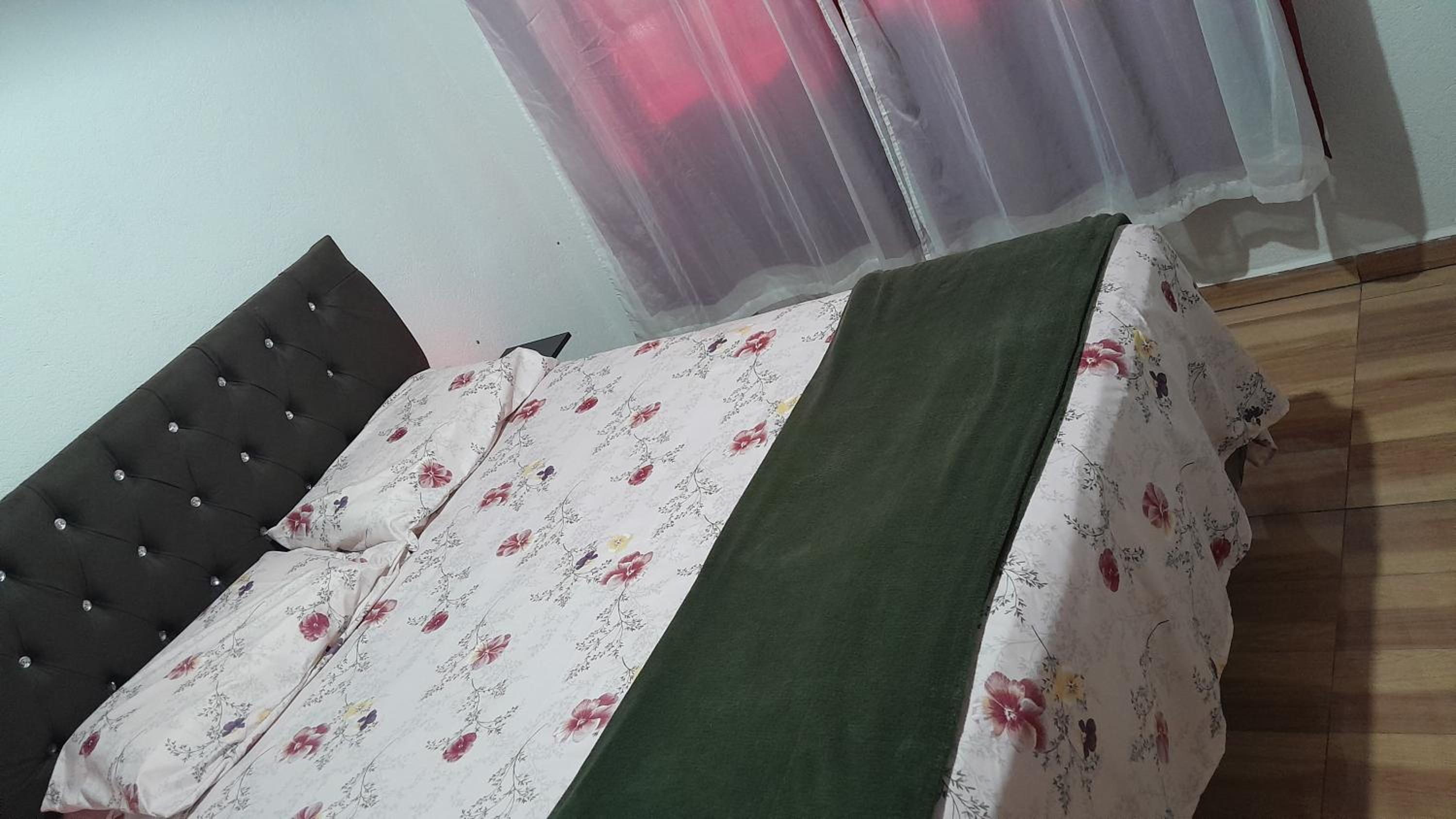 One-Bedroom House photo 1