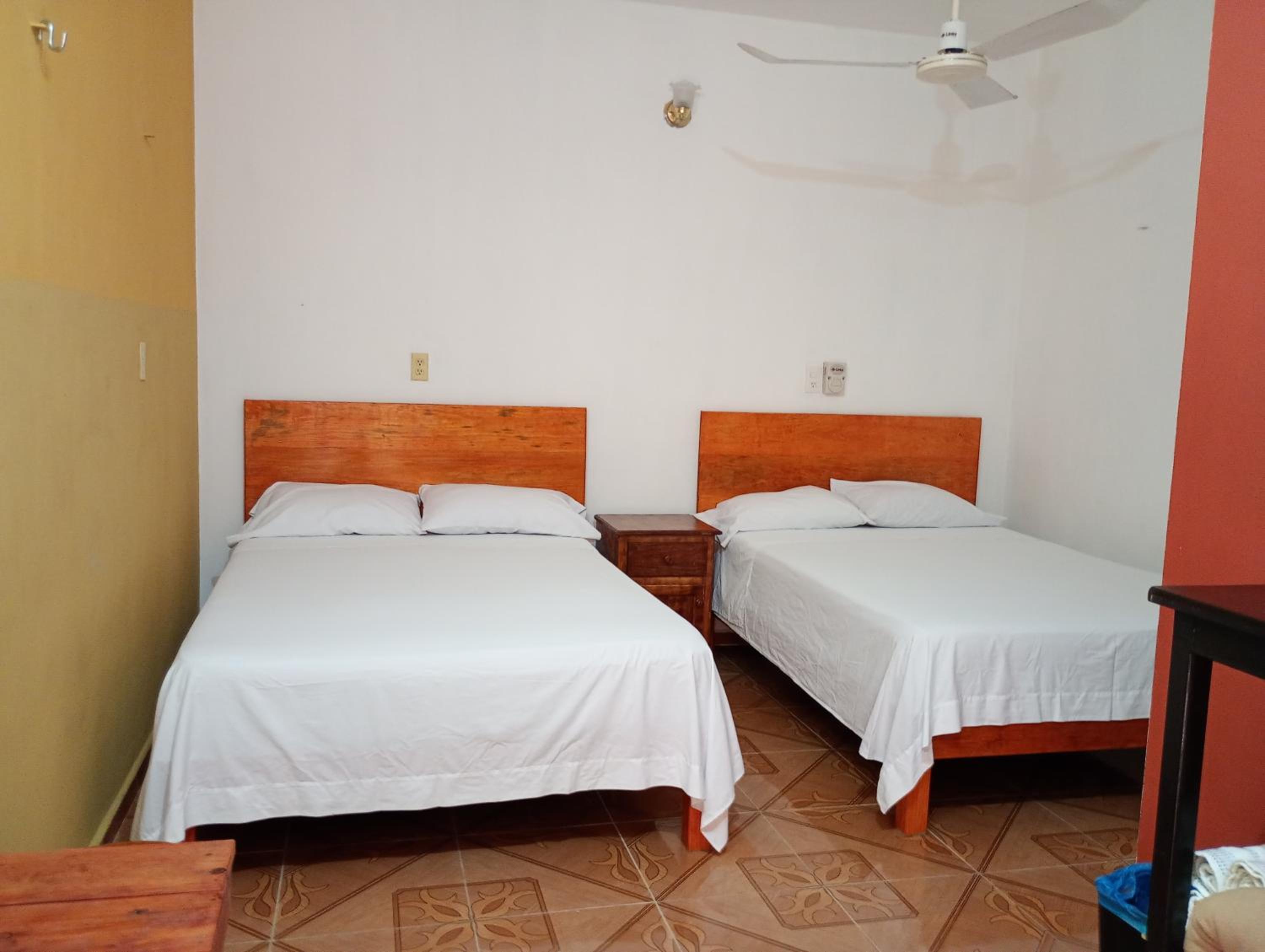 Standard Double Room with Two Double Beds photo 3