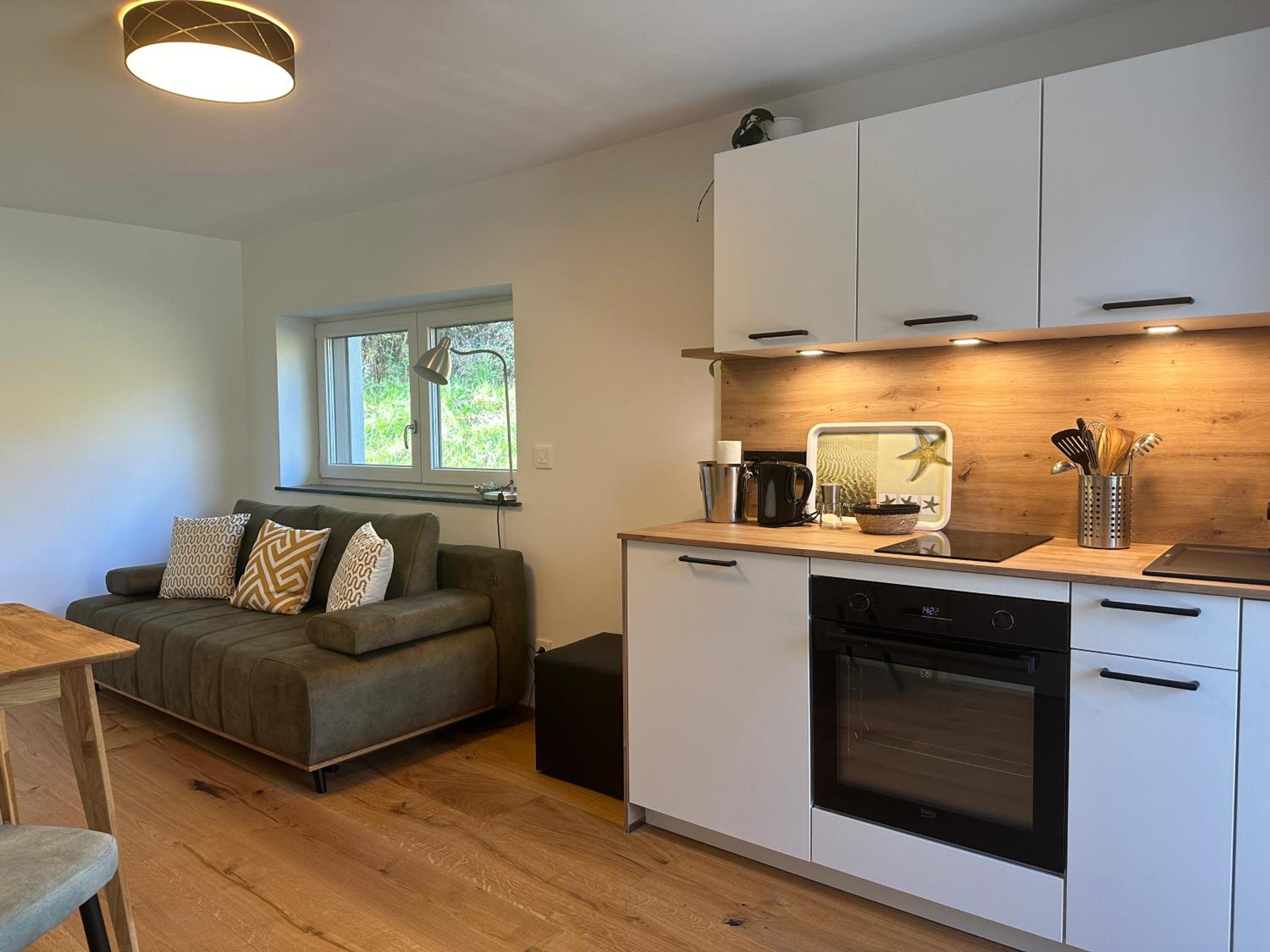 One-Bedroom Apartment with Lake View photo 2