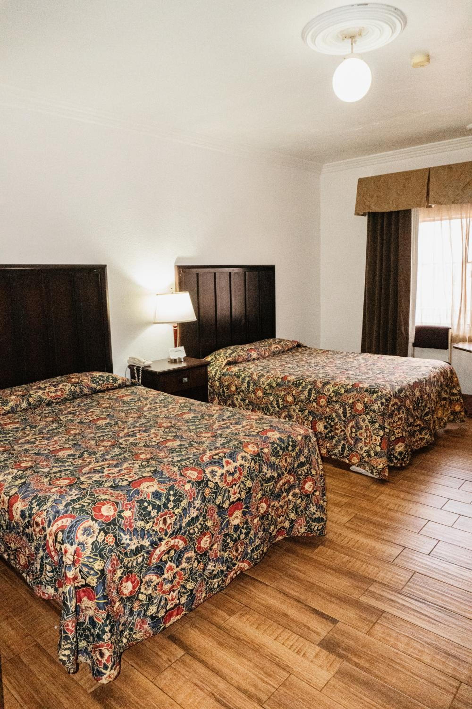 Double or Twin Room photo 1