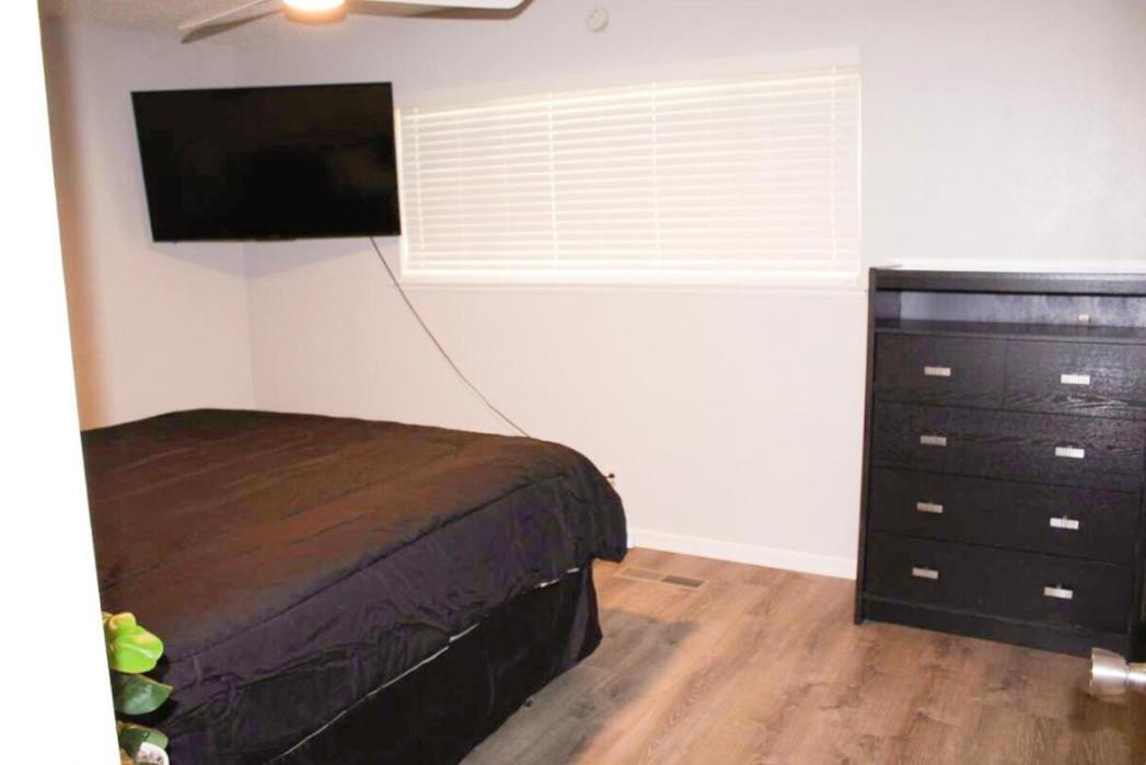 One-Bedroom House photo 3
