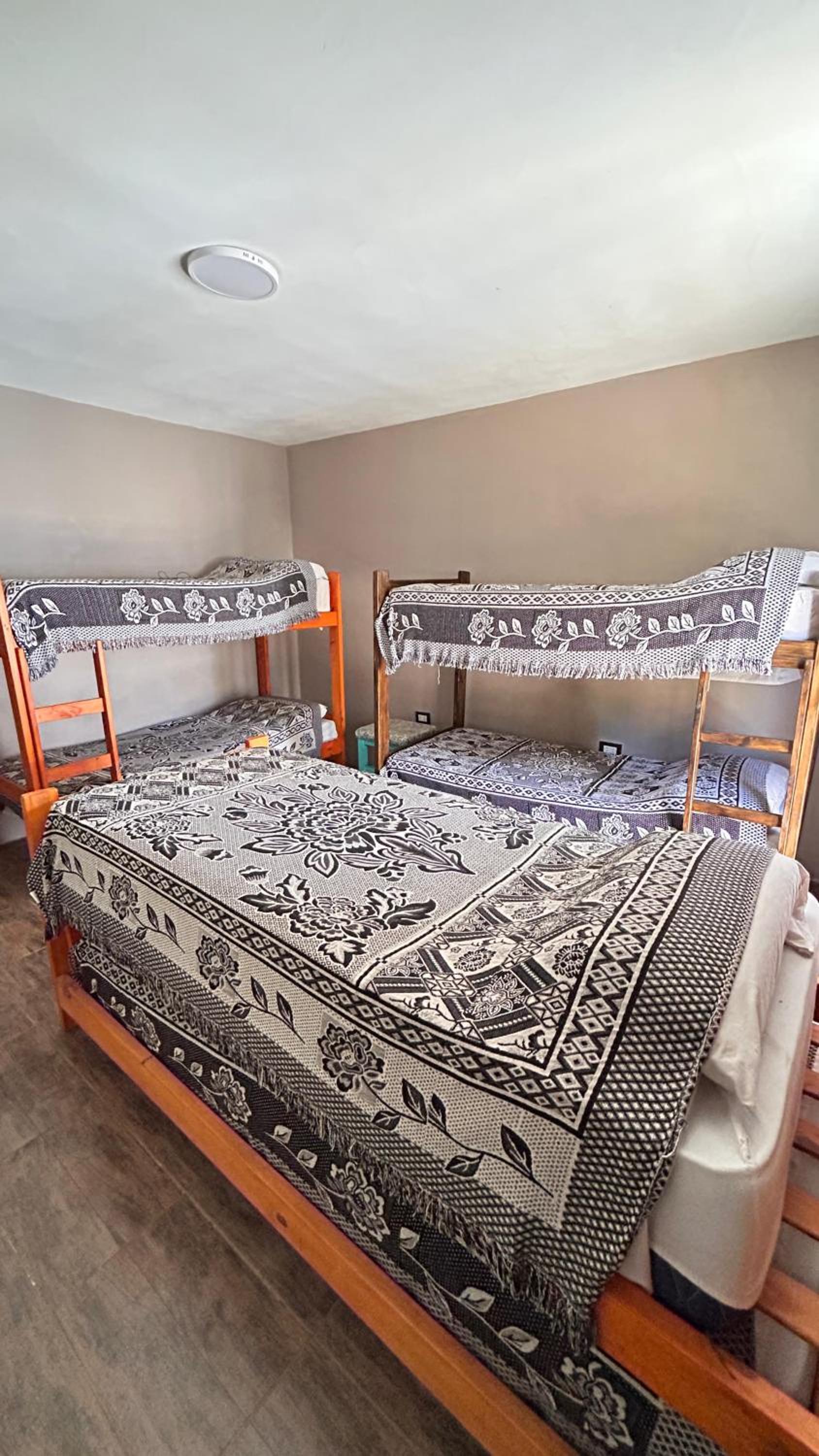 Single Bed In Dormitory Room photo 1