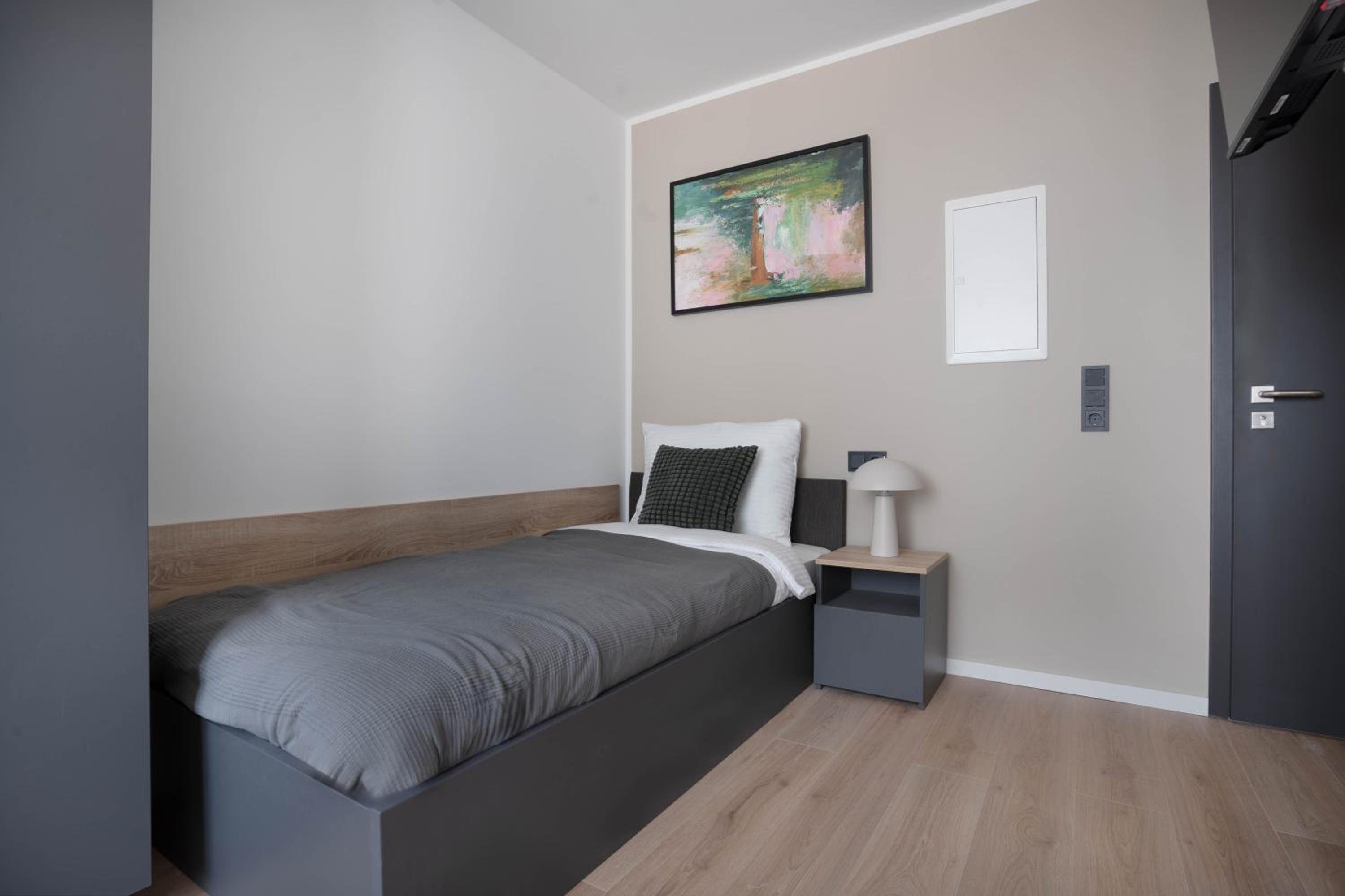 Three-Bedroom Superior Apartment photo 2