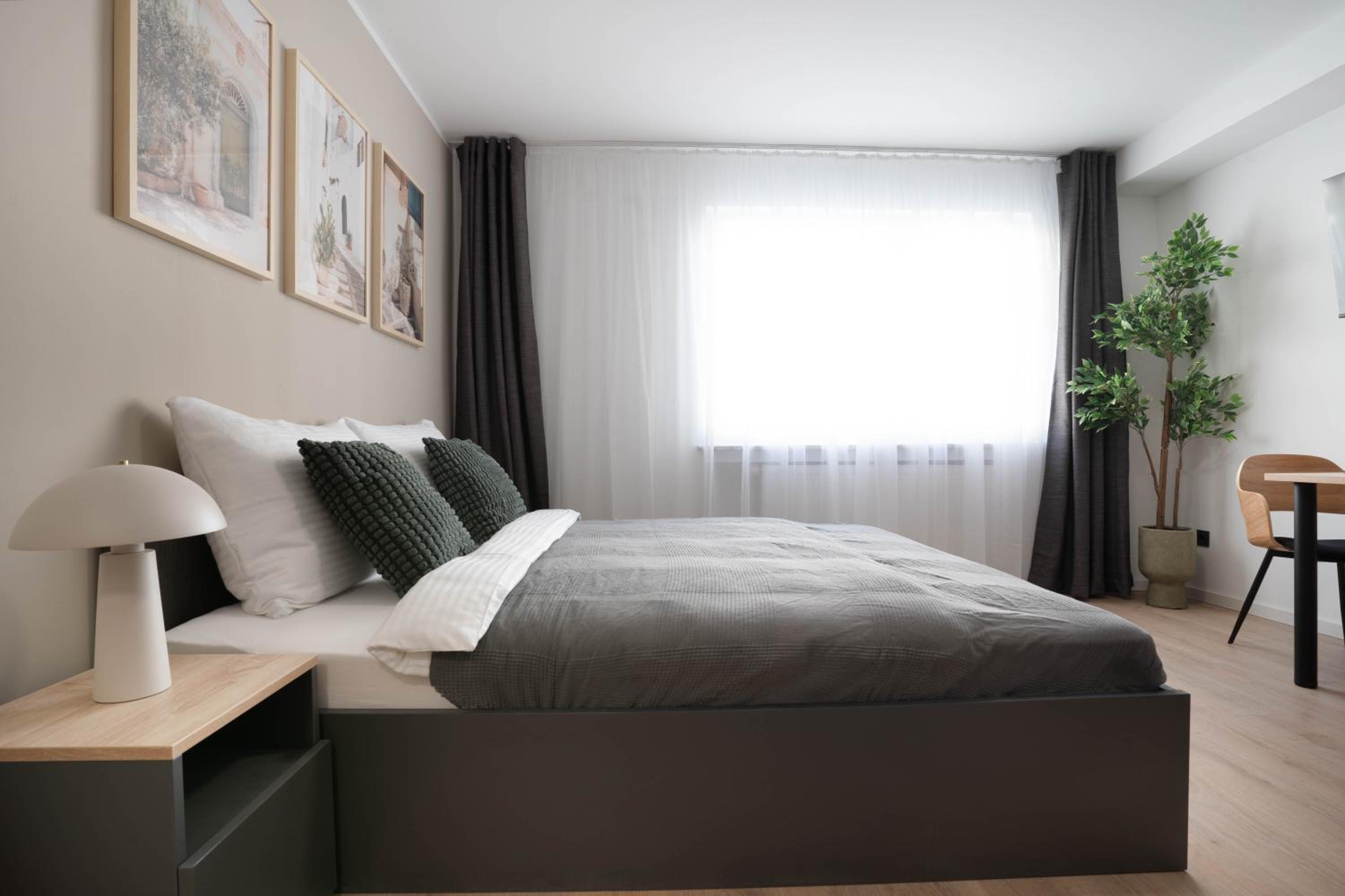 Studio Apartment with Queen Bed photo 2