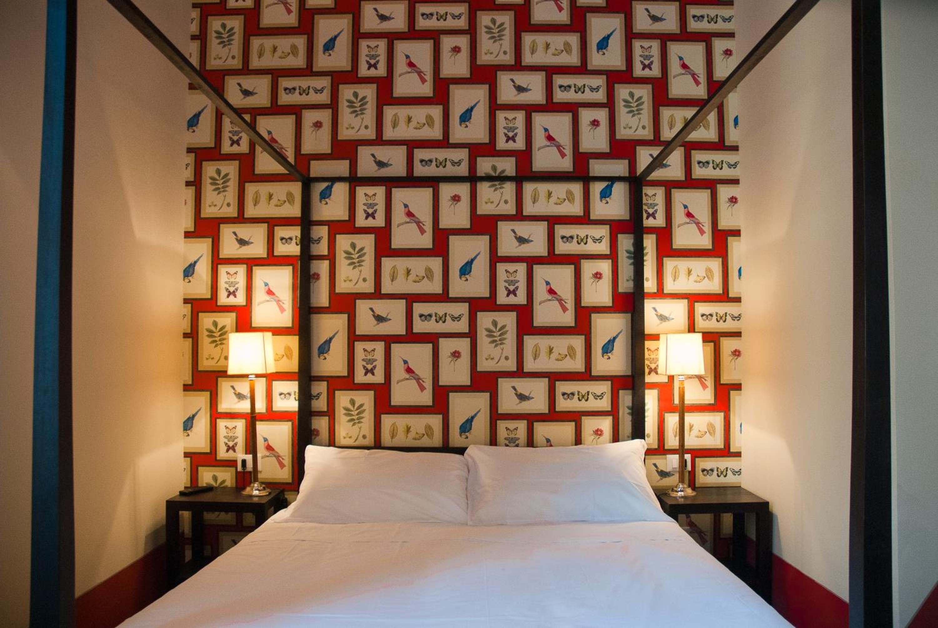Double or Twin Room photo 1
