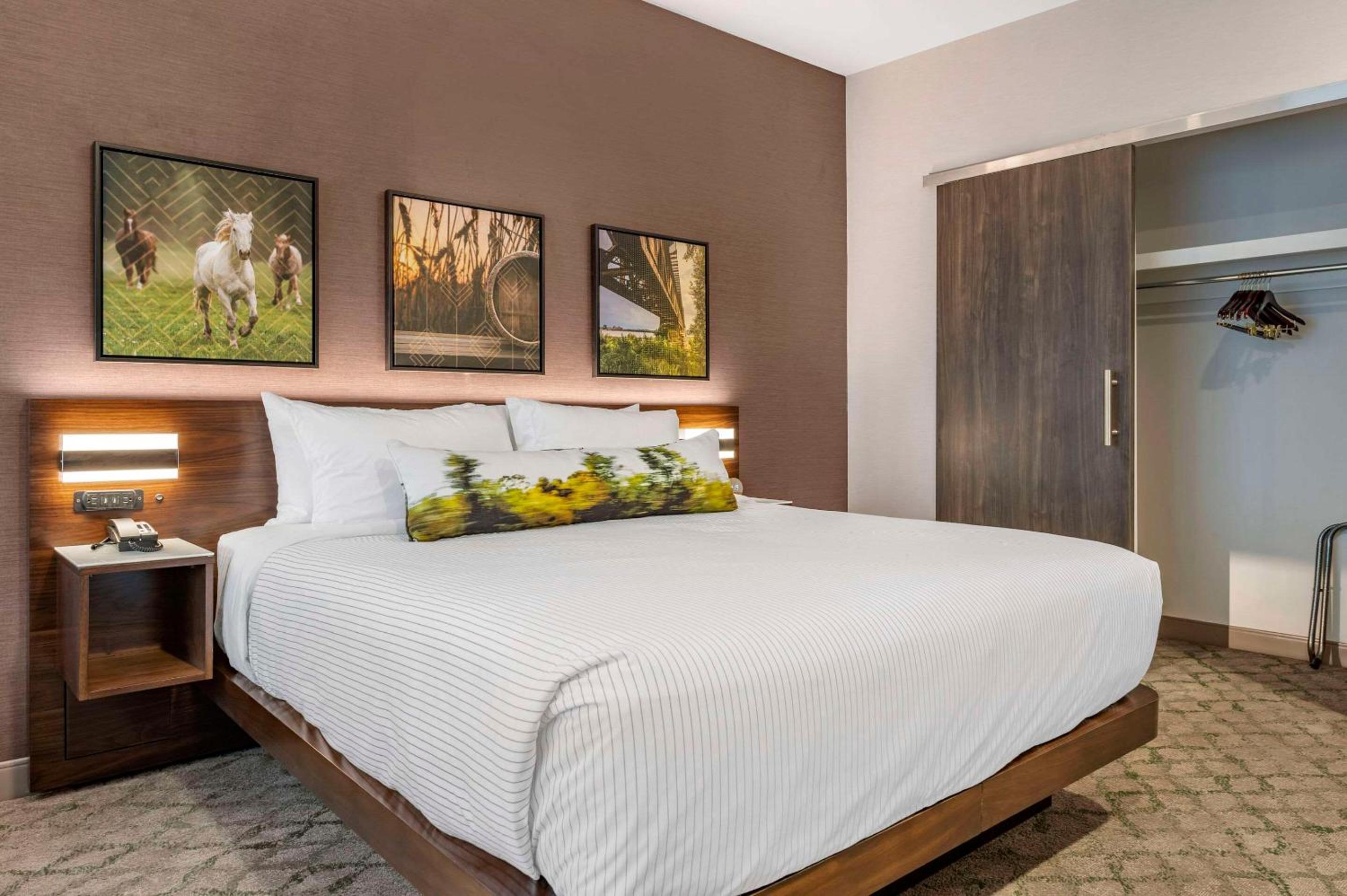 King Suite with Sofa Bed - Non Smoking - Photo 1