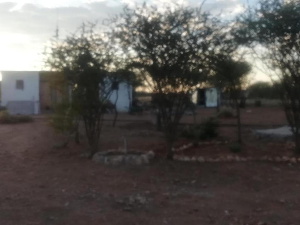 Empty Lot photo 3