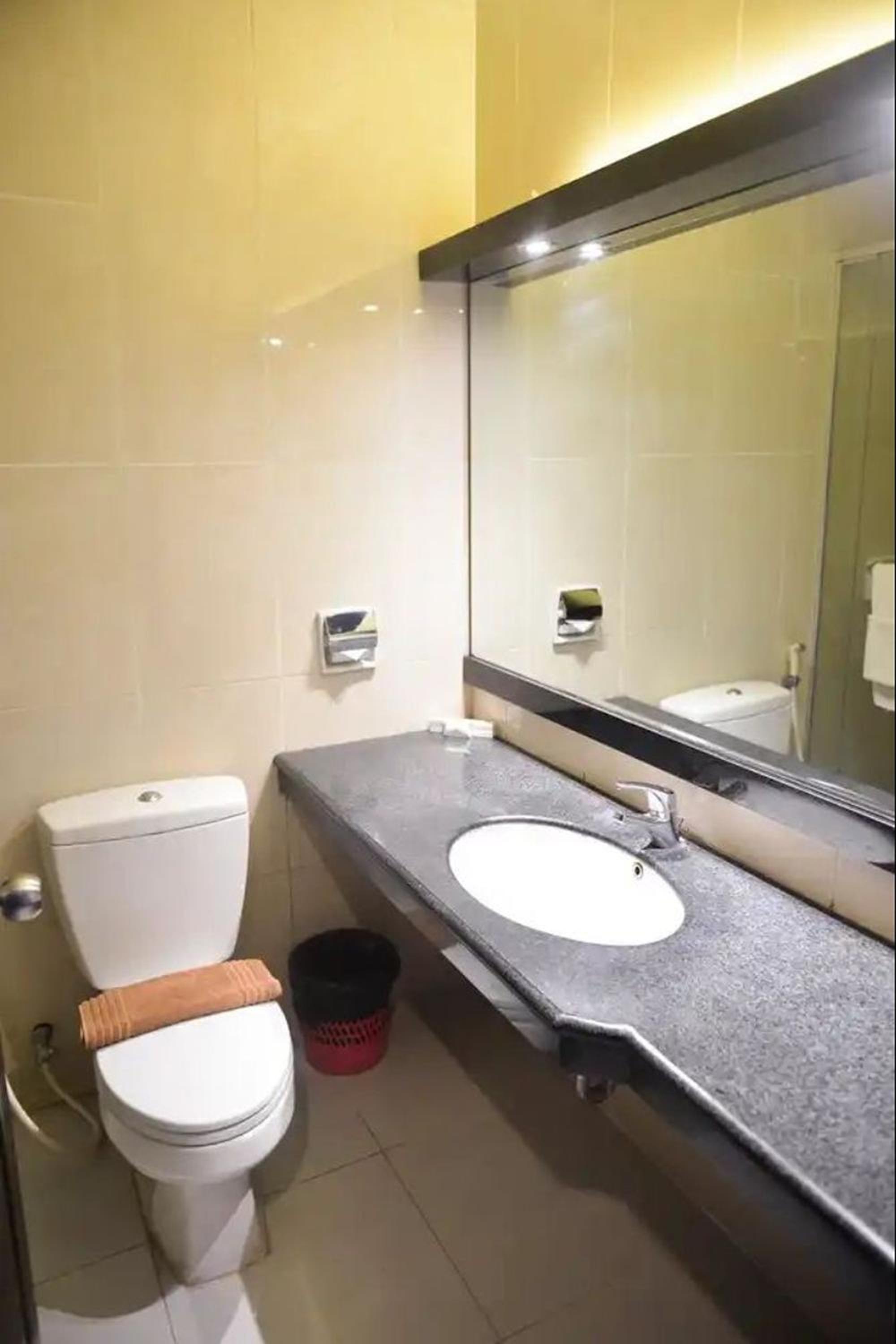 Deluxe Double Or Twin Room photo 3